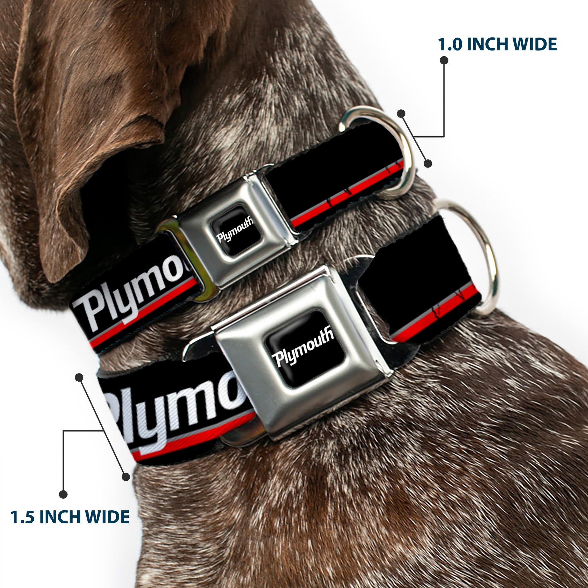PLYMOUTH Text Logo Full Color Black/White Seatbelt Buckle Collar - PLYMOUTH Text/Stripe Black/White/Gray/Red Seatbelt Buckle Collars Dodge