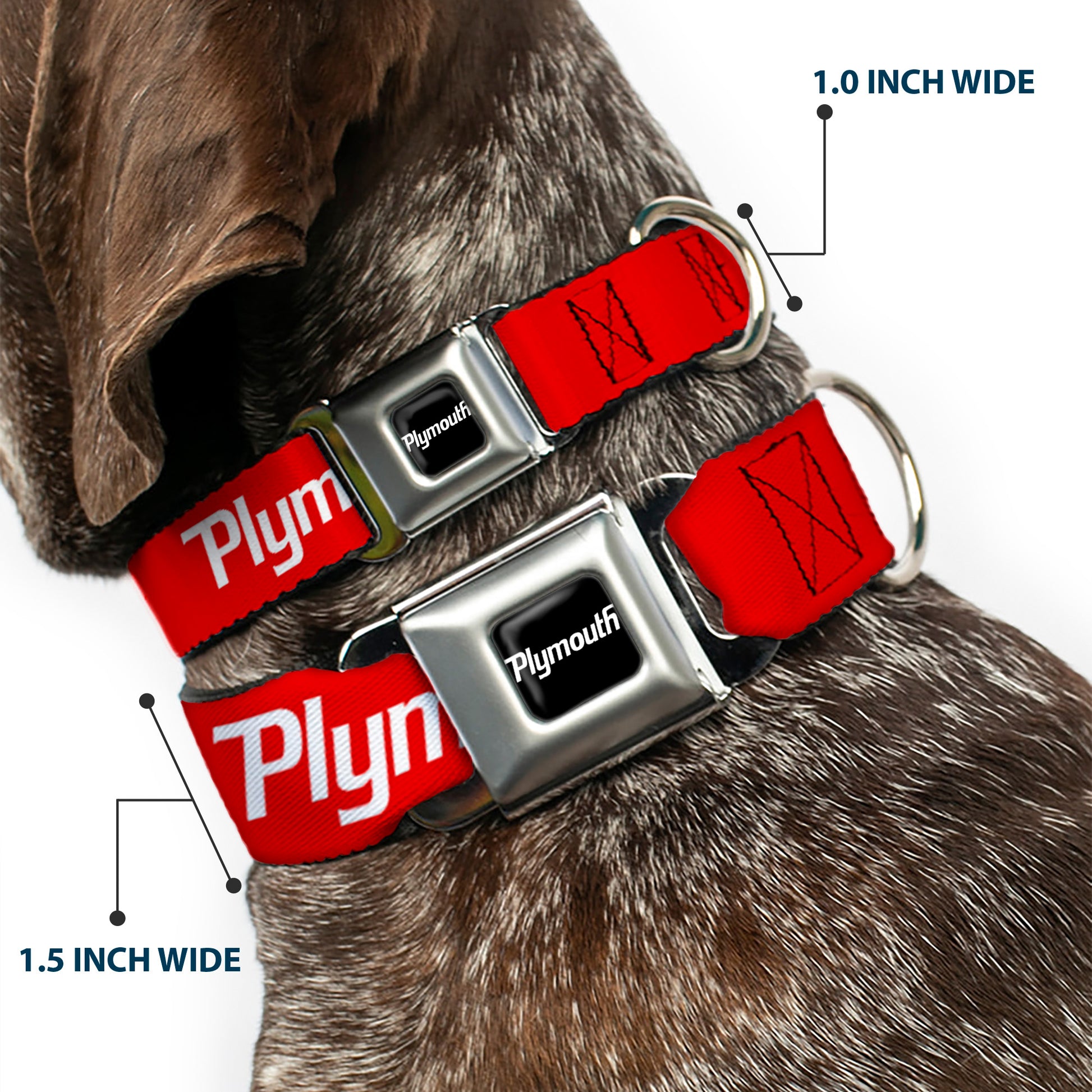 PLYMOUTH Text Logo Full Color Black/White Seatbelt Buckle Collar - PLYMOUTH Text Logo Red/White Seatbelt Buckle Collars Dodge