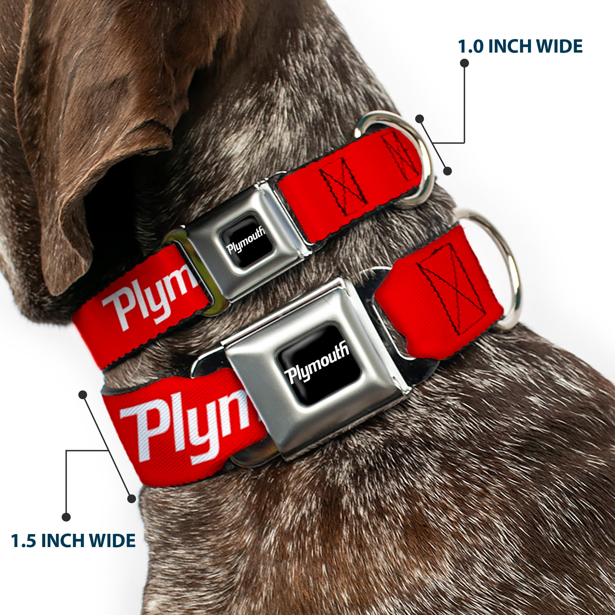 PLYMOUTH Text Logo Full Color Black/White Seatbelt Buckle Collar - PLYMOUTH Text Logo Red/White Seatbelt Buckle Collars Dodge