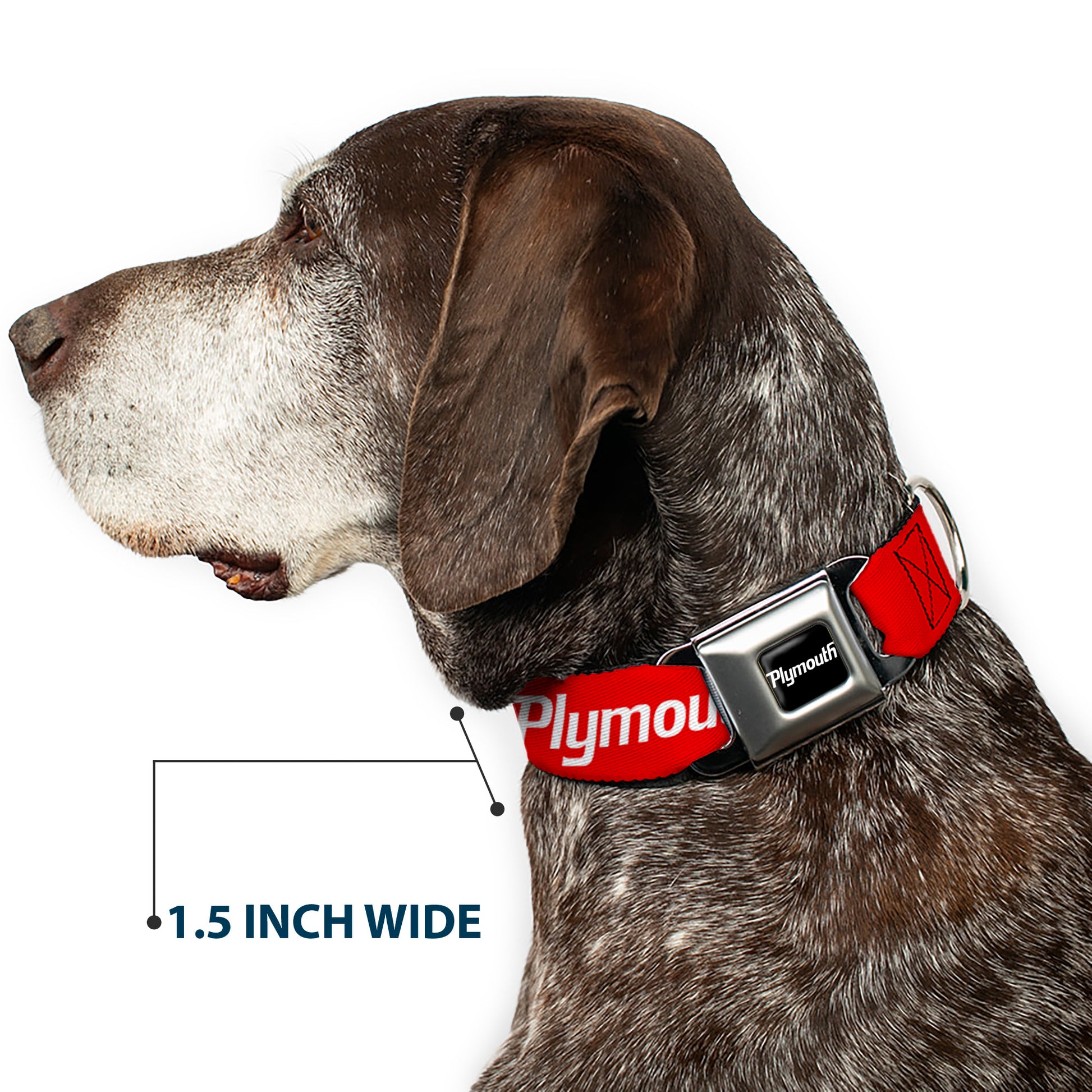 PLYMOUTH Text Logo Full Color Black/White Seatbelt Buckle Collar - PLYMOUTH Text Logo Red/White Seatbelt Buckle Collars Dodge