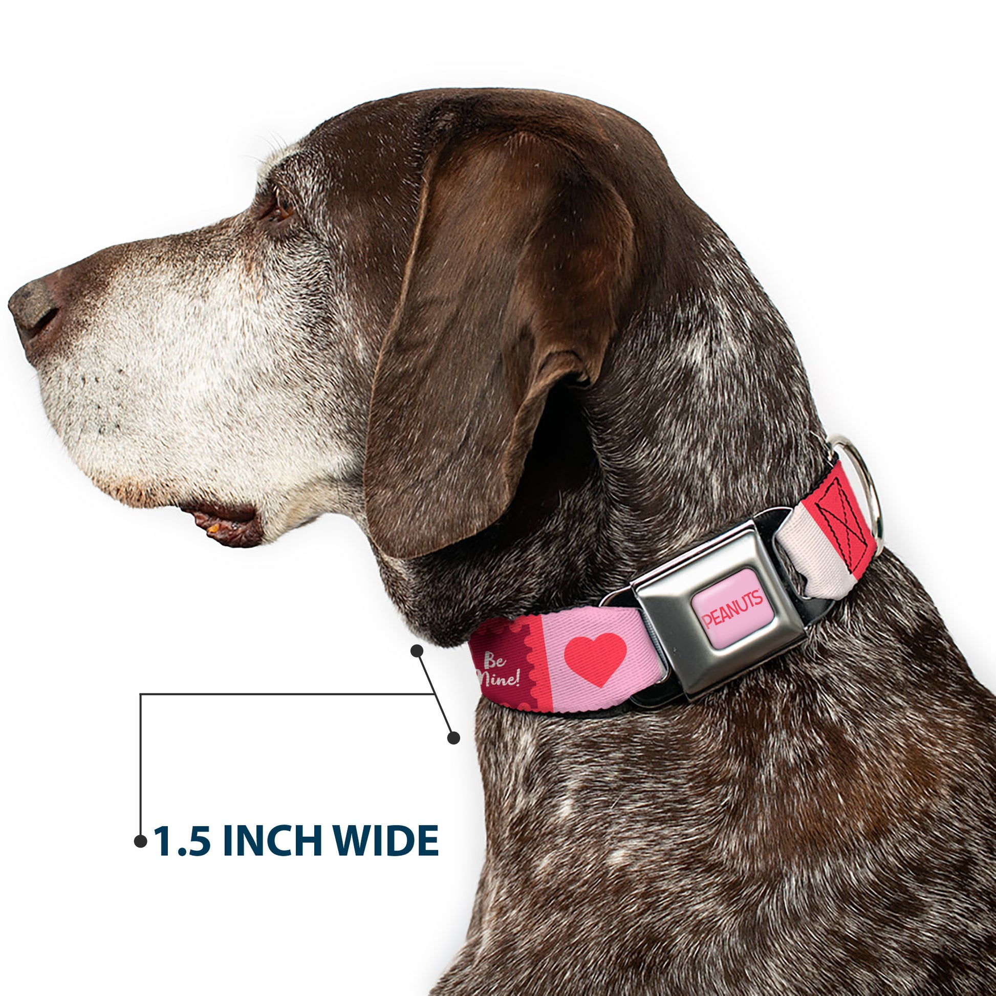 PEANUTS Title Logo Full Color Light Pink/Red Seatbelt Buckle Collar - Peanuts Snoopy BE MINE Valentine Pose and Icons Blocks White/Reds/Pinks Seatbelt Buckle Collars Peanuts