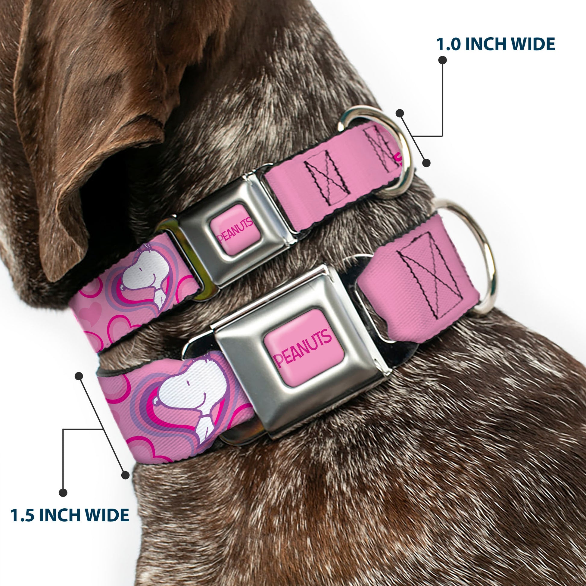 PEANUTS Title Logo Full Color Pink/Red Seatbelt Buckle Collar - Peanuts Snoopy Valentine Hearts Pose and Text Pinks/Lavenders Seatbelt Buckle Collars Peanuts