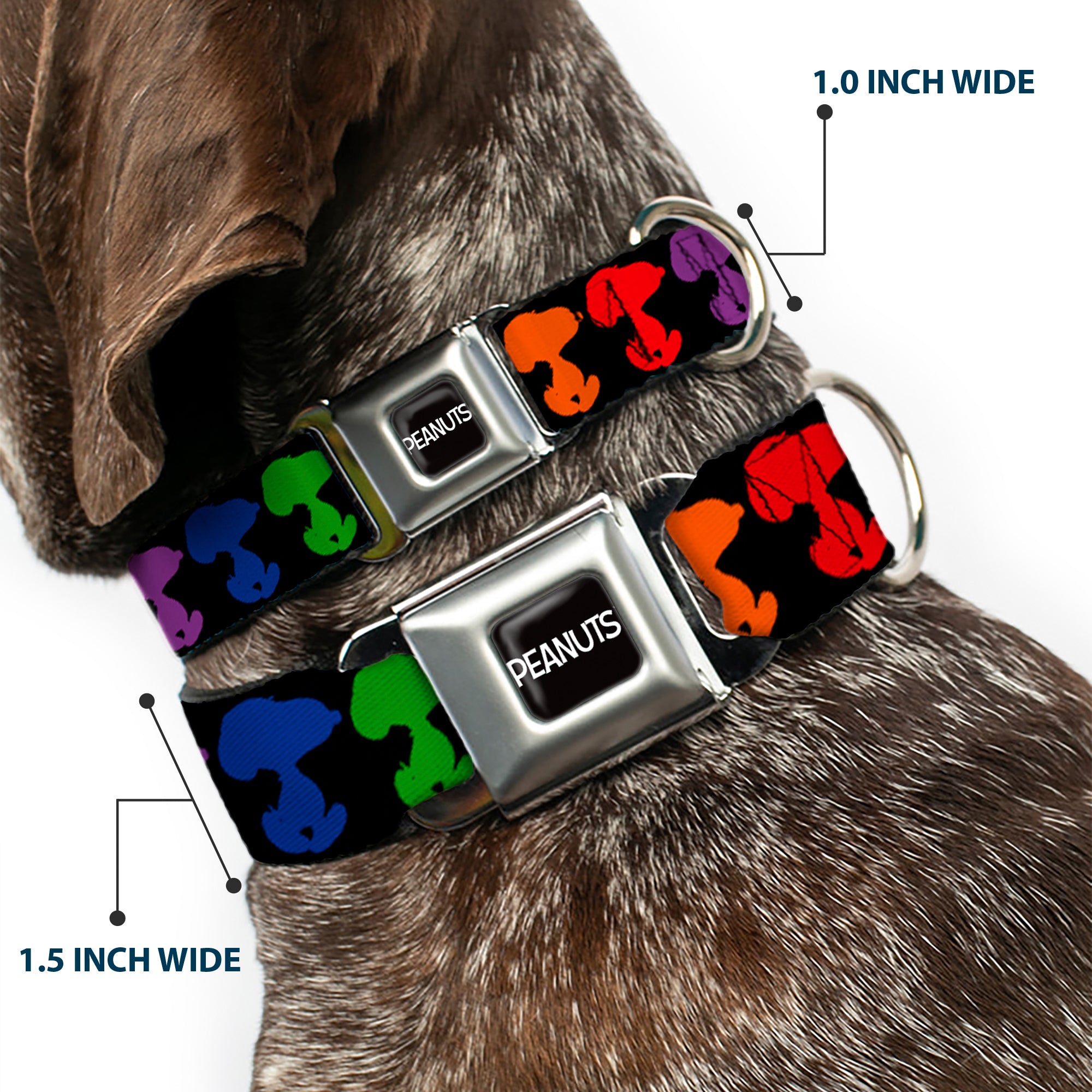 PEANUTS Title Logo Full Color Black/White Seatbelt Buckle Collar - Peanuts Snoopy Silhoutte Pose Black/Rainbow Multi Color Seatbelt Buckle Collars Peanuts