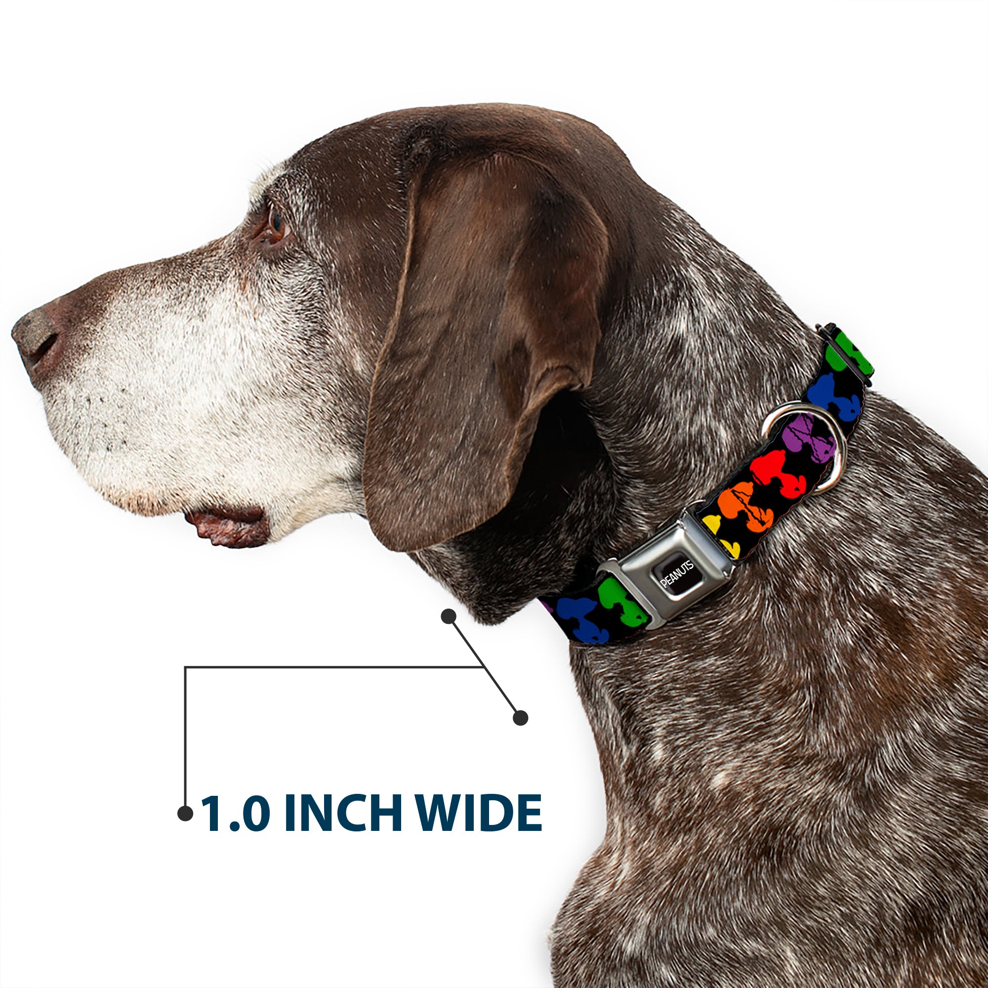 PEANUTS Title Logo Full Color Black/White Seatbelt Buckle Collar - Peanuts Snoopy Silhoutte Pose Black/Rainbow Multi Color Seatbelt Buckle Collars Peanuts