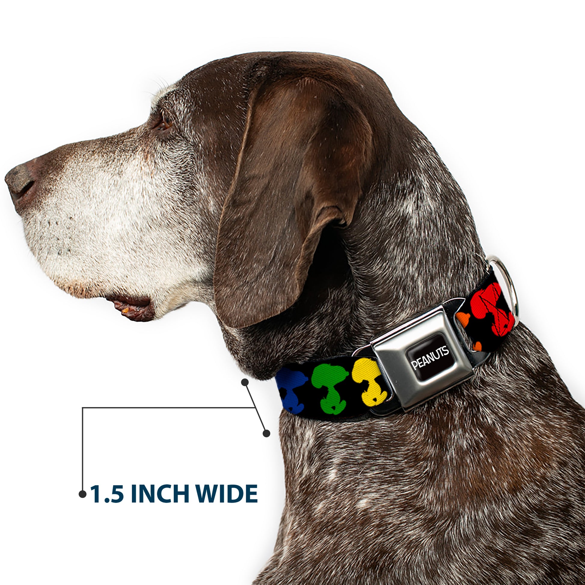 PEANUTS Title Logo Full Color Black/White Seatbelt Buckle Collar - Peanuts Snoopy Silhoutte Pose Black/Rainbow Multi Color Seatbelt Buckle Collars Peanuts