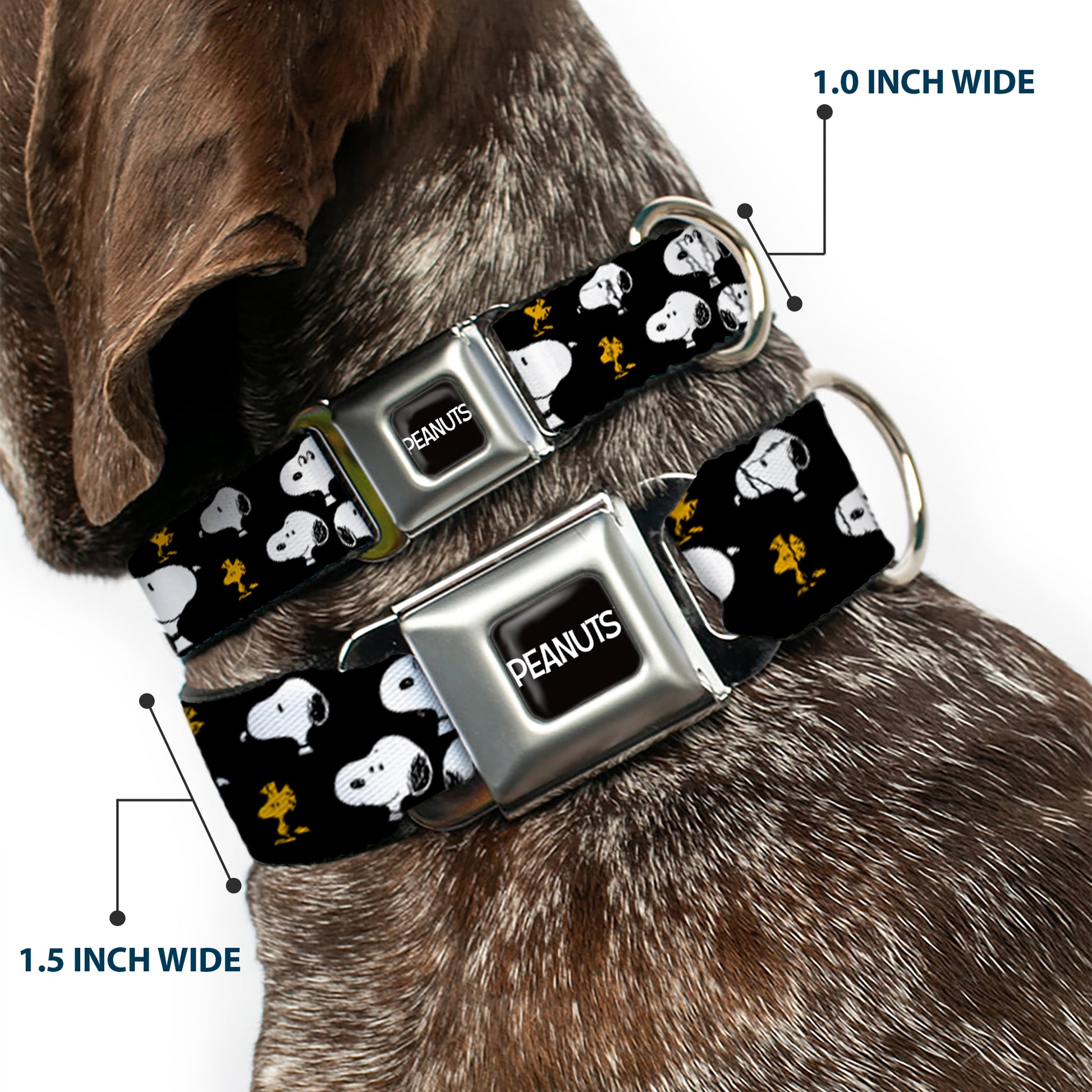 PEANUTS Title Logo Full Color Black/White Seatbelt Buckle Collar - Peanuts Snoopy and Woodstock Poses Scattered Black Seatbelt Buckle Collars Peanuts