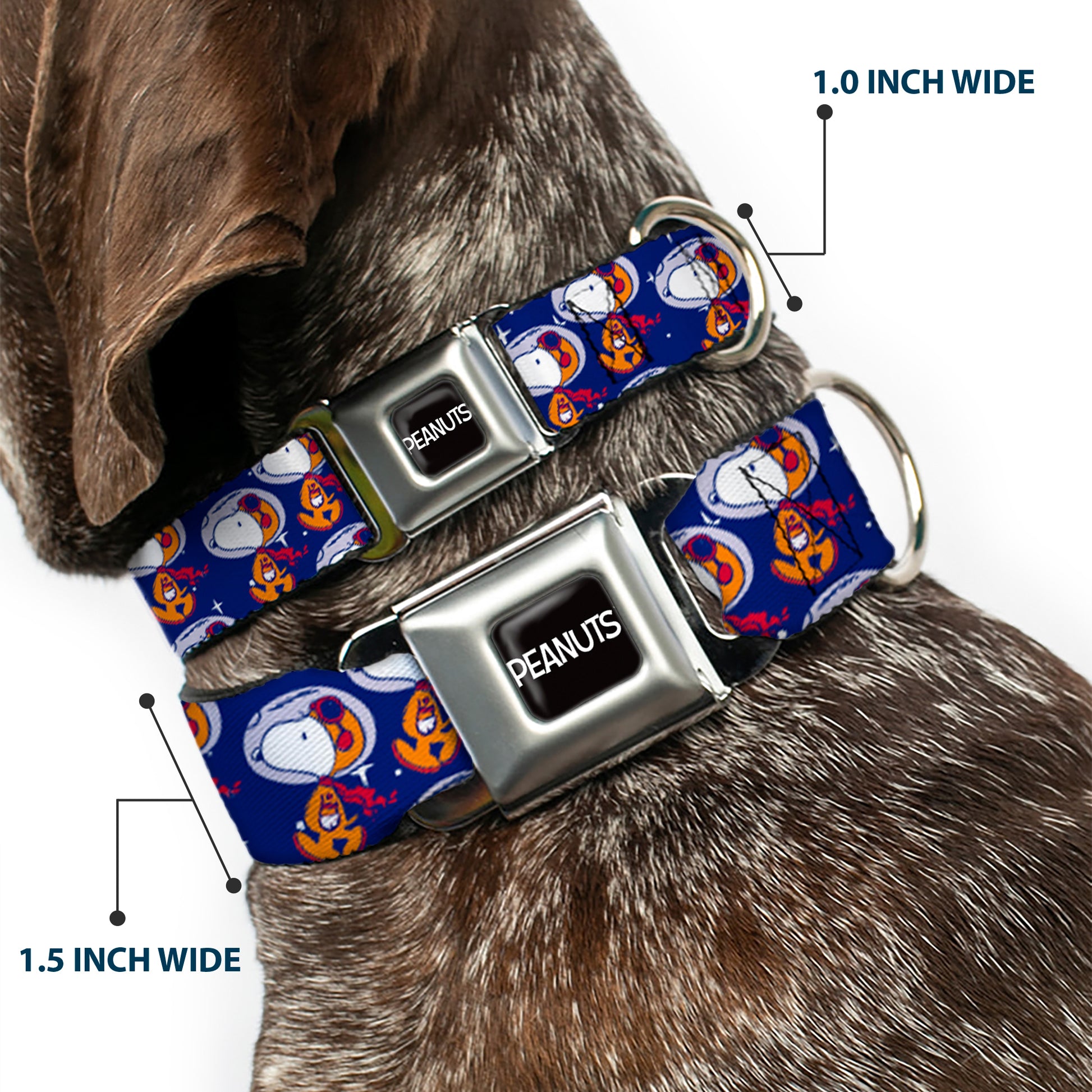 PEANUTS Title Logo Full Color Black/White Seatbelt Buckle Collar - Peanuts Astronaut Snoopy Walking Pose Scattered Blue/Orange Seatbelt Buckle Collars Peanuts