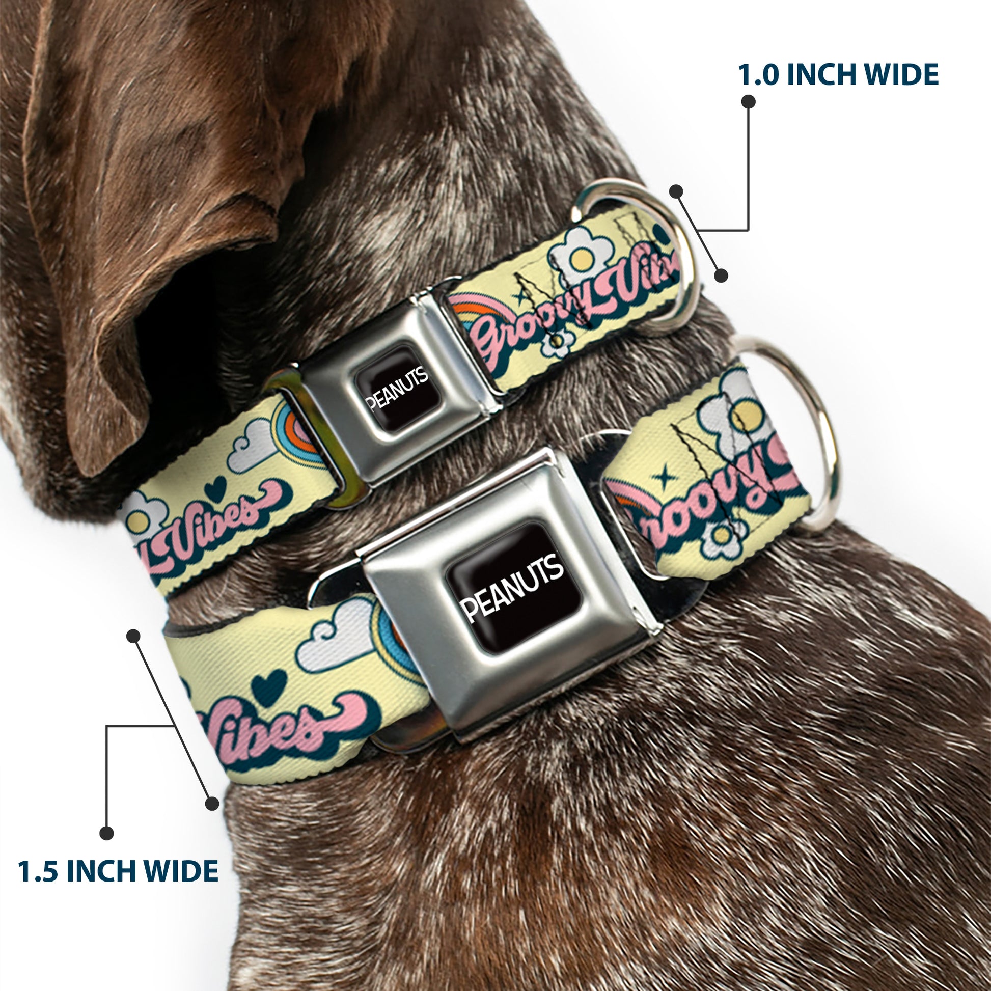 PEANUTS Title Logo Full Color Black/White Seatbelt Buckle Collar - Peanuts Snoopy Flying Ace and Woodstock GROOVY Quotes Collage Yellow Seatbelt Buckle Collars Peanuts
