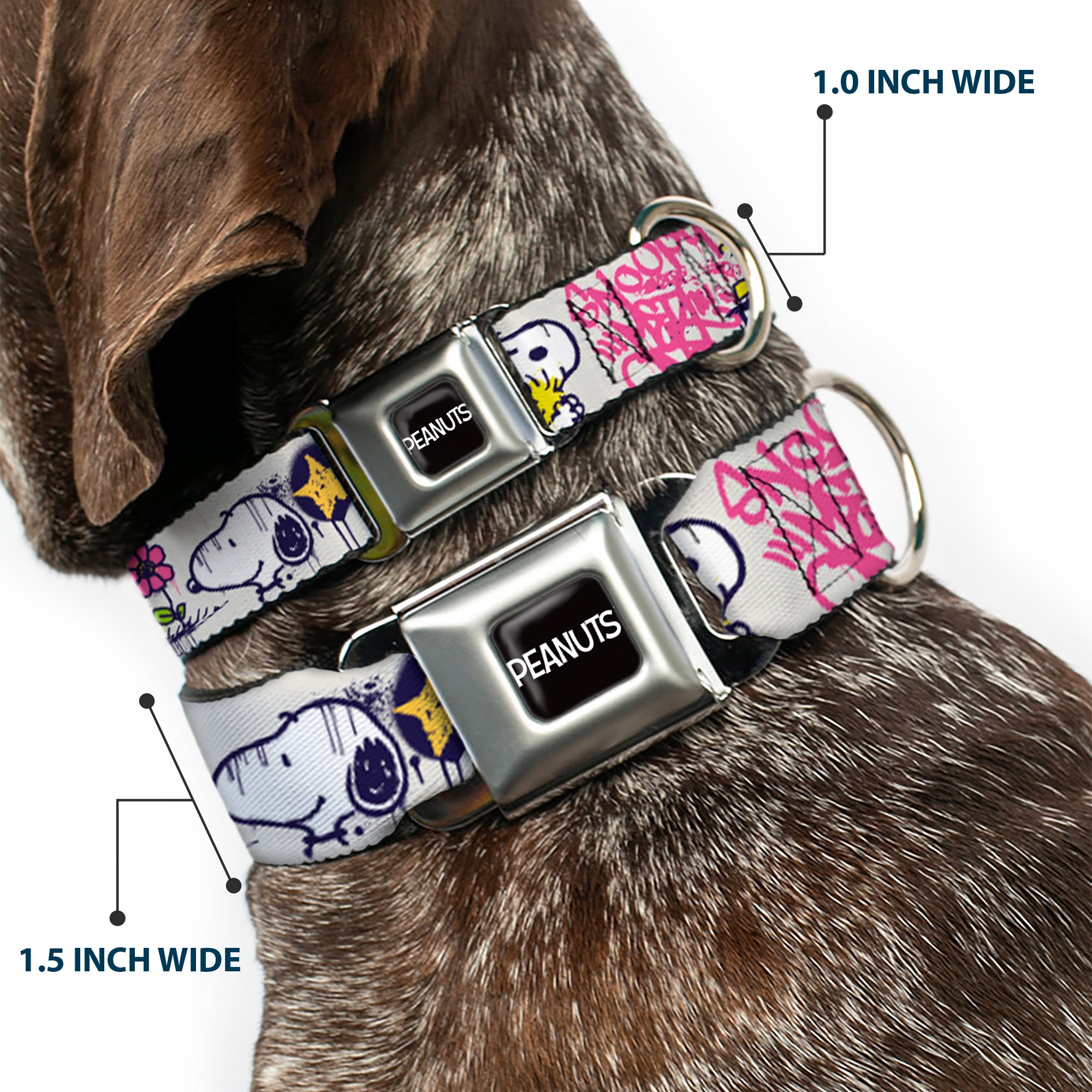 PEANUTS Title Logo Full Color Black/White Seatbelt Buckle Collar - Peanuts Snoopy and Woodstock Graffiti Collage White/Multi Color Seatbelt Buckle Collars Peanuts
