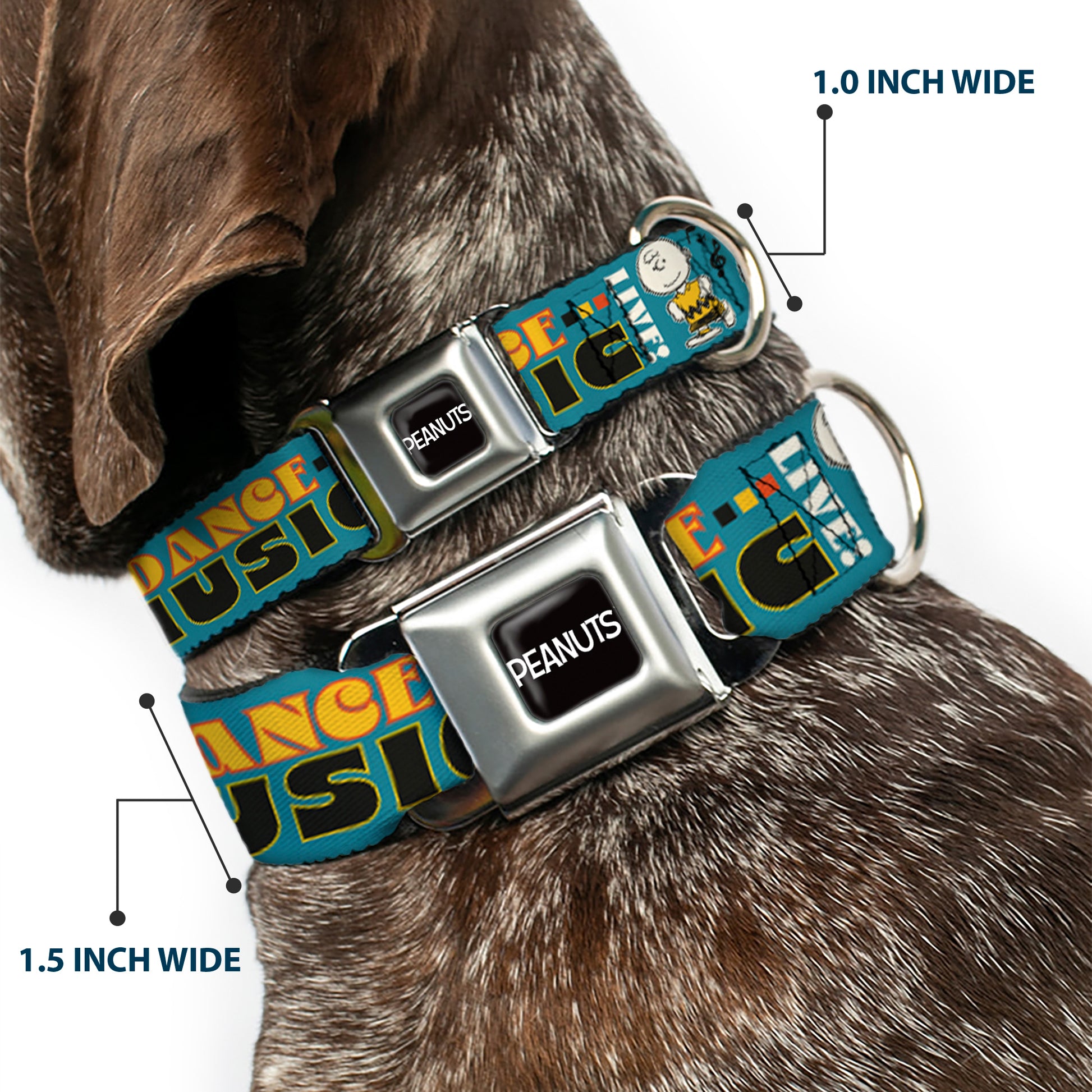 PEANUTS Title Logo Full Color Black/White Seatbelt Buckle Collar - Peanuts Gang DANCE MUSIC Poses and Quotes Blue/Multi Color Seatbelt Buckle Collars Peanuts