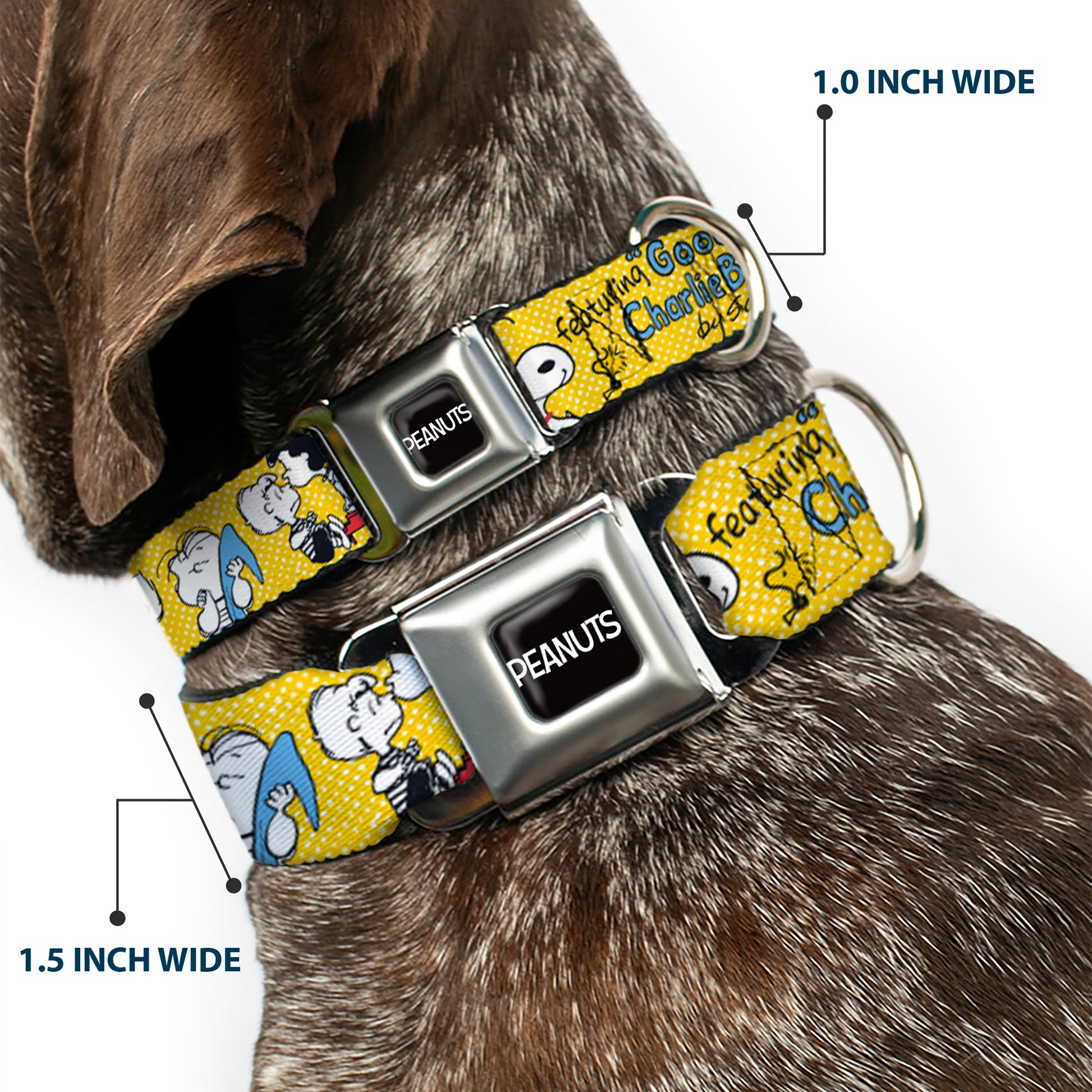 PEANUTS Title Logo Full Color Black/White Seatbelt Buckle Collar - PEANUTS Gang FEATURING GOOD OL CHARLIE BROWN Character Poses Yellow/Multi Color Seatbelt Buckle Collars Peanuts