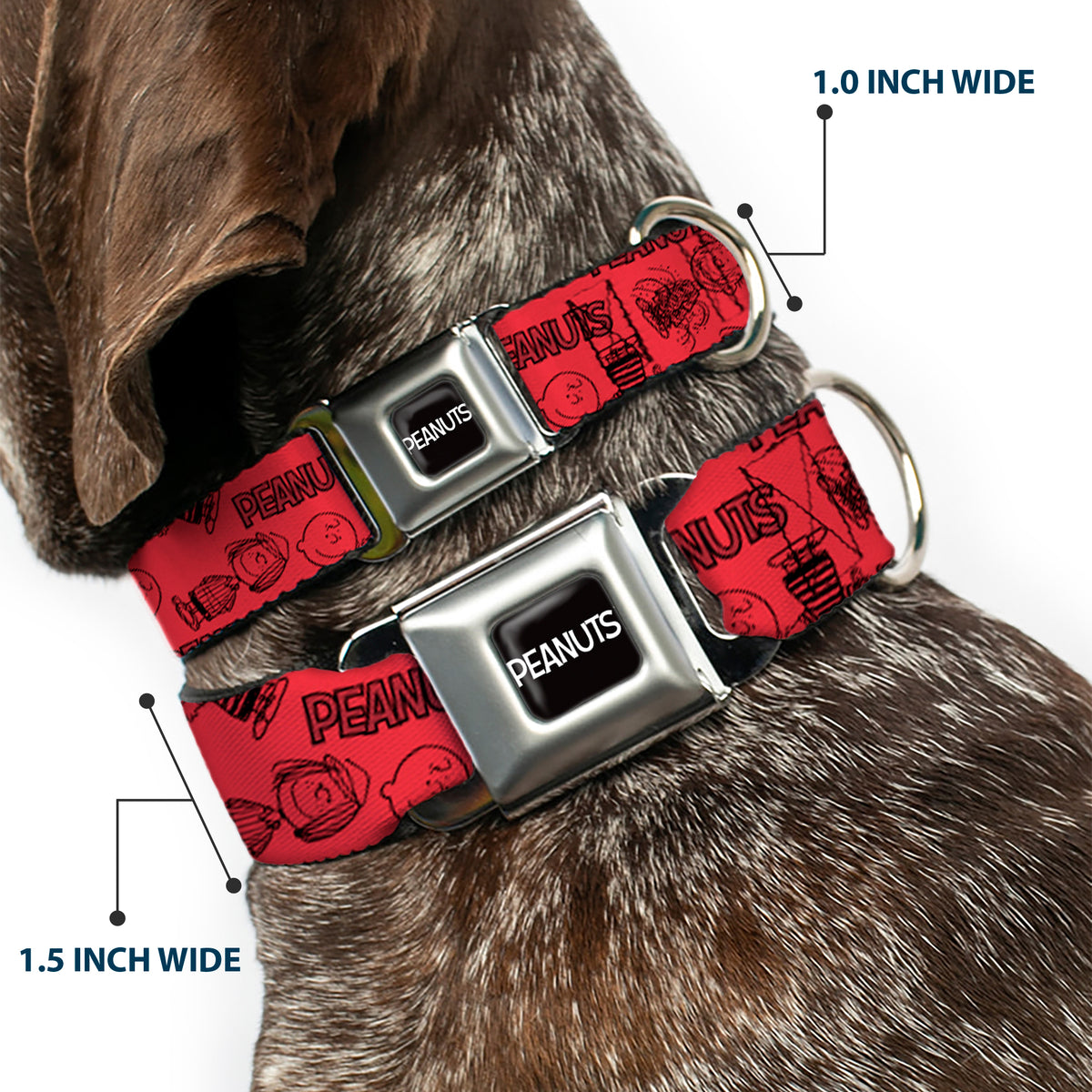 PEANUTS Title Logo Full Color Black/White Seatbelt Buckle Collar - PEANUTS Gang Six Character and Title Logo Collage Red/Black Dog Collars Seatbelt Buckle Peanuts