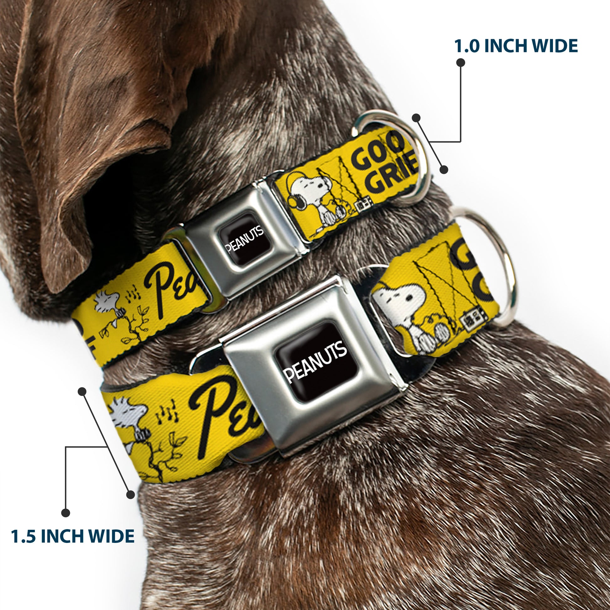 PEANUTS Title Logo Full Color Black/White Seatbelt Buckle Collar - PEANUTS Gang SINCE 1950 GOOD GRIEF Group Pose Yellow/Black Seatbelt Buckle Collars Peanuts