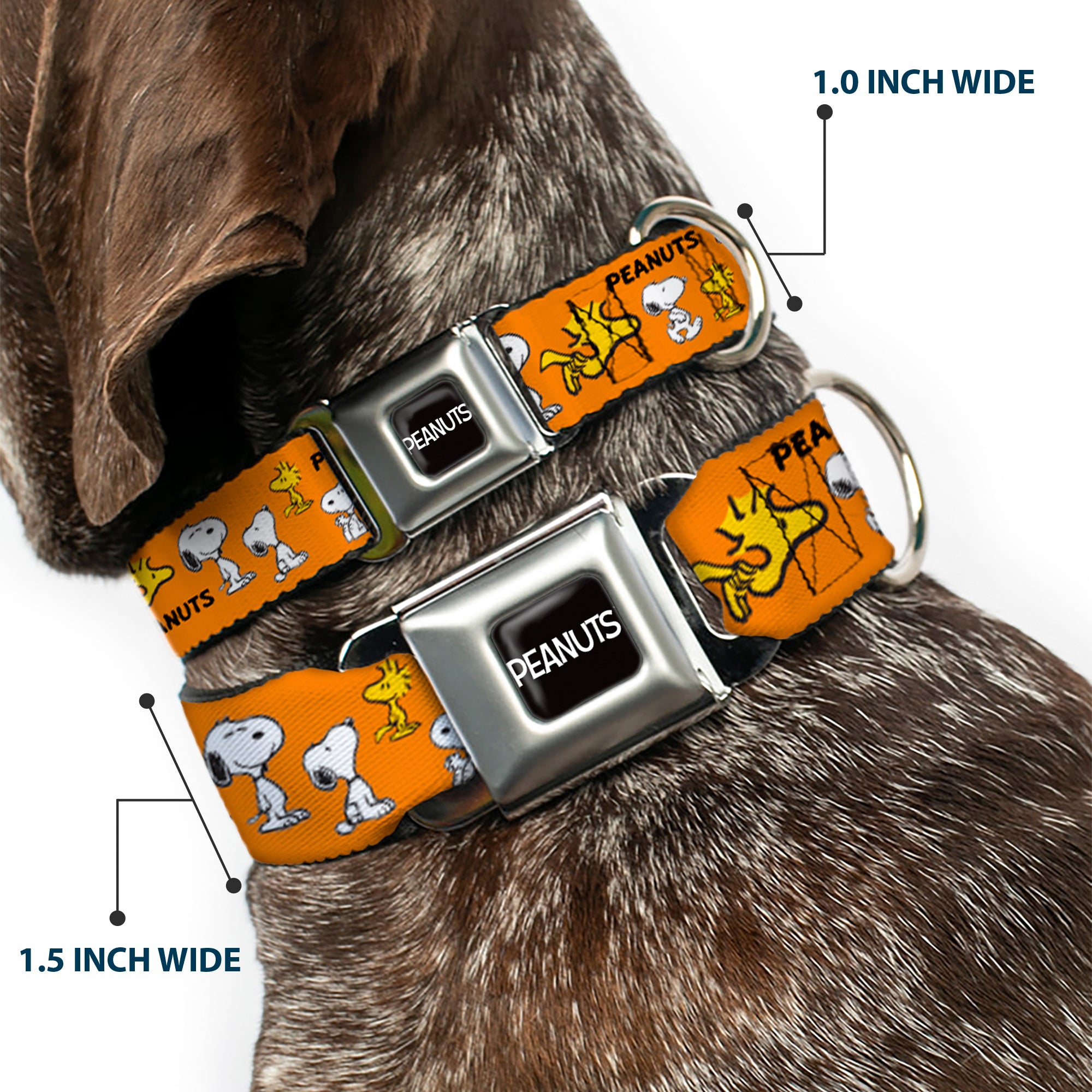 PEANUTS Title Logo Full Color Black/White Seatbelt Buckle Collar - PEANUTS Snoopy and Woodstock Poses Collage Orange Seatbelt Buckle Collars Peanuts