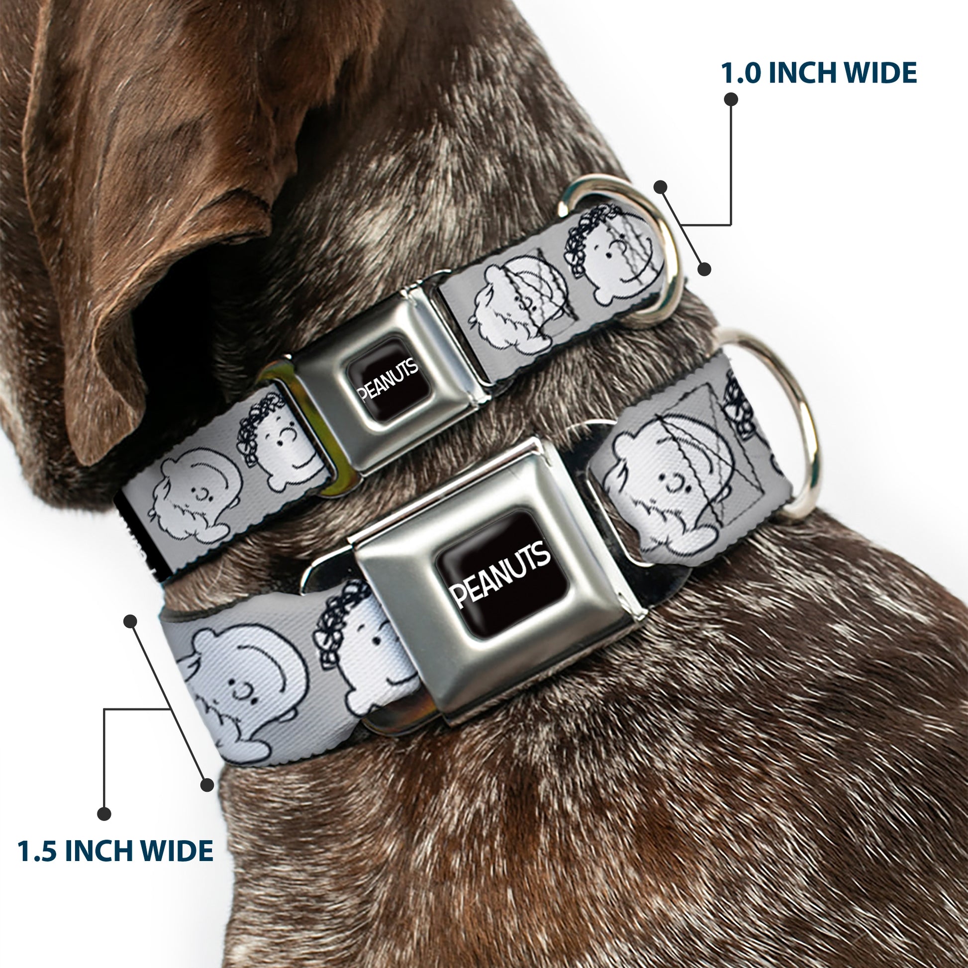 PEANUTS Title Logo Full Color Black/White Seatbelt Buckle Collar - Peanuts Gang Expressions Gray/Black/White Seatbelt Buckle Collars Peanuts