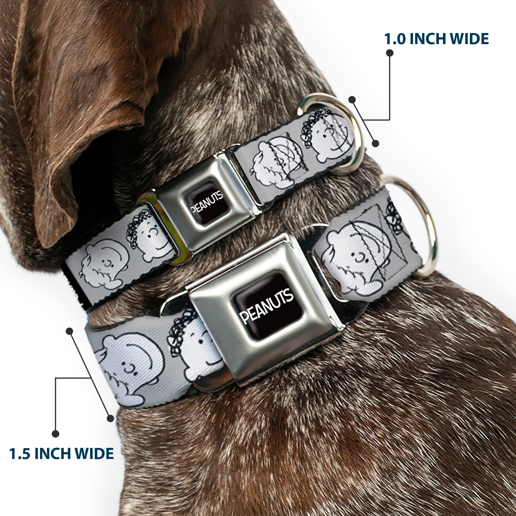PEANUTS Title Logo Full Color Black/White Seatbelt Buckle Collar - Peanuts Gang Expressions Gray/Black/White Seatbelt Buckle Collars Peanuts