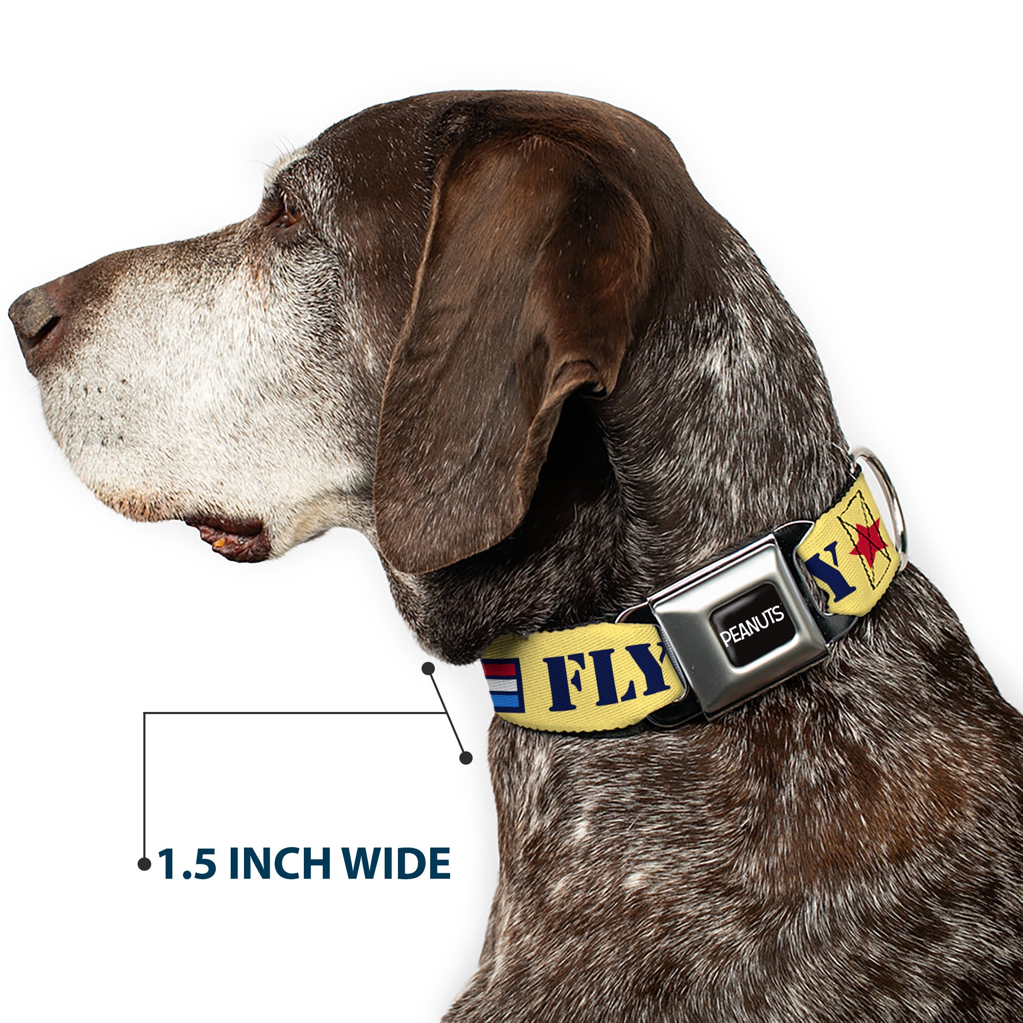 PEANUTS Title Logo Full Color Black/White Seatbelt Buckle Collar - Peanuts Snoopy FLY BOY TOP DOG Flying Ace Yellow/Blue/Red Seatbelt Buckle Collars Peanuts