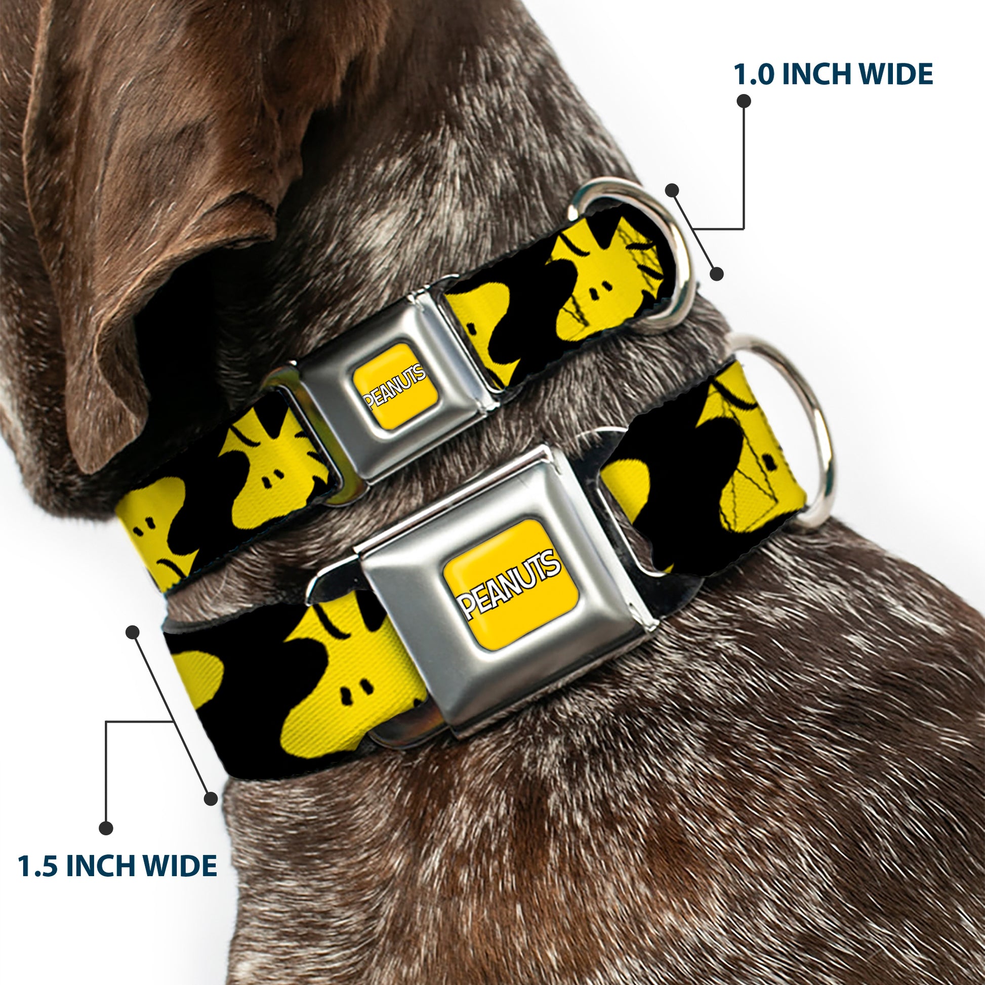 PEANUTS Title Logo Full Color Yellow/White Seatbelt Buckle Collar - Peanuts Woodstock Face Flip Black/Yellow Seatbelt Buckle Collars Peanuts