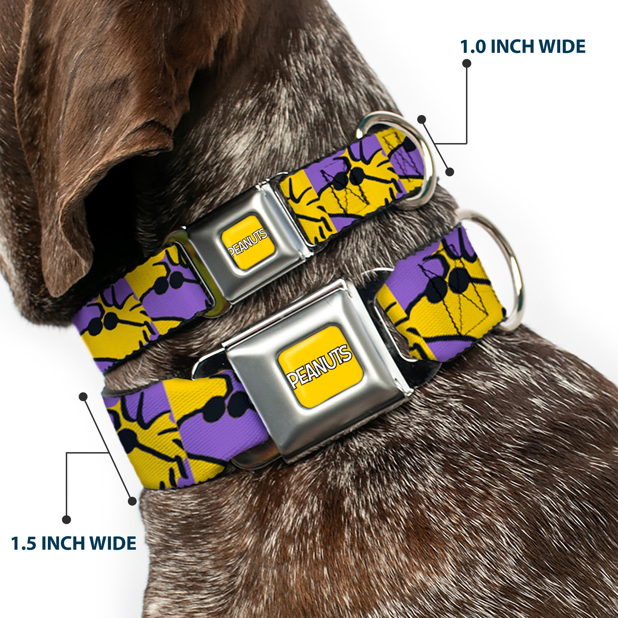 PEANUTS Title Logo Full Color Yellow/White Seatbelt Buckle Collar - Peanuts Woodstock Shades Pose Blocks Blue/Yellow/Black Seatbelt Buckle Collars Peanuts