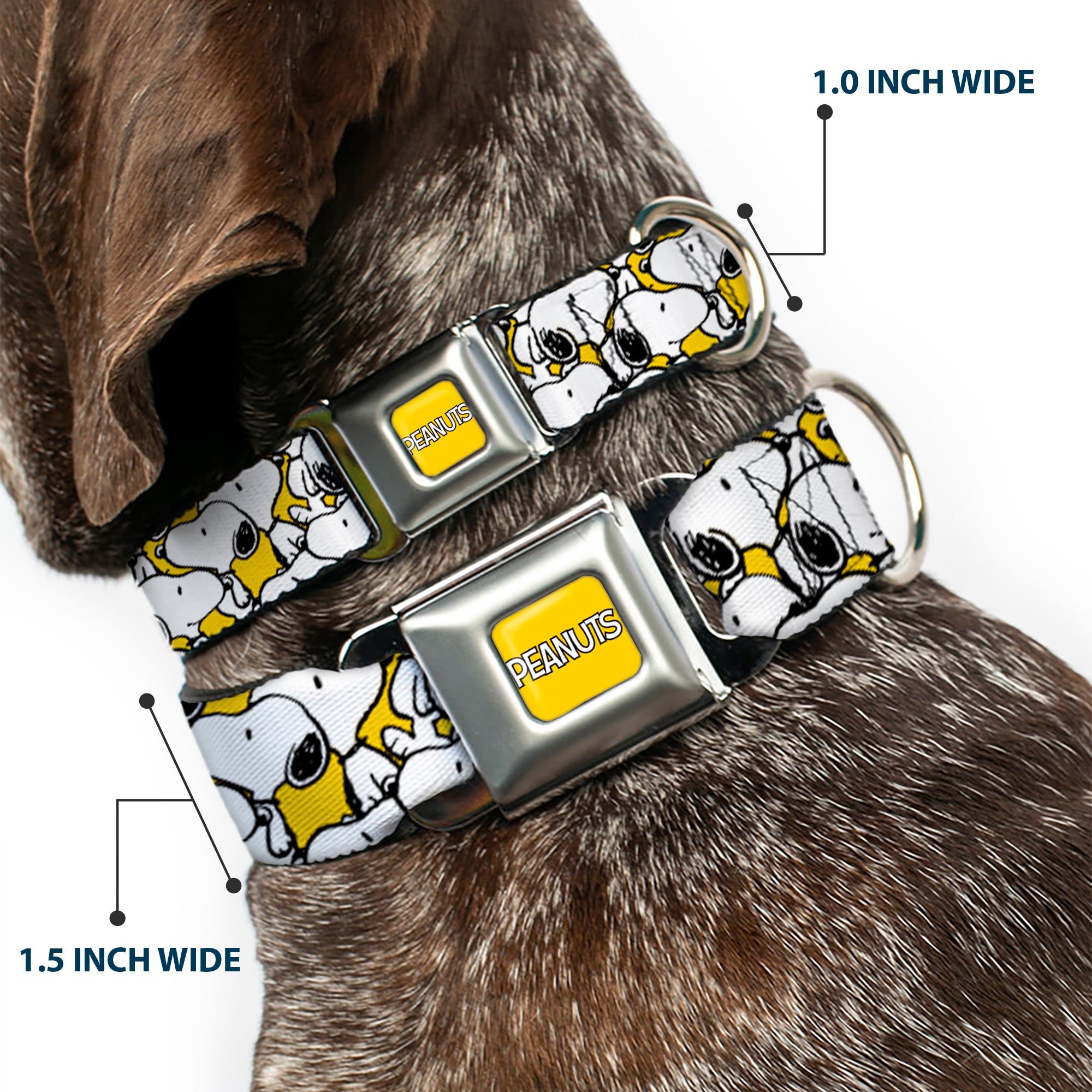 PEANUTS Title Logo Full Color Yellow/White Seatbelt Buckle Collar - Peanuts Snoopy Pose Stacked Yellow Seatbelt Buckle Collars Peanuts