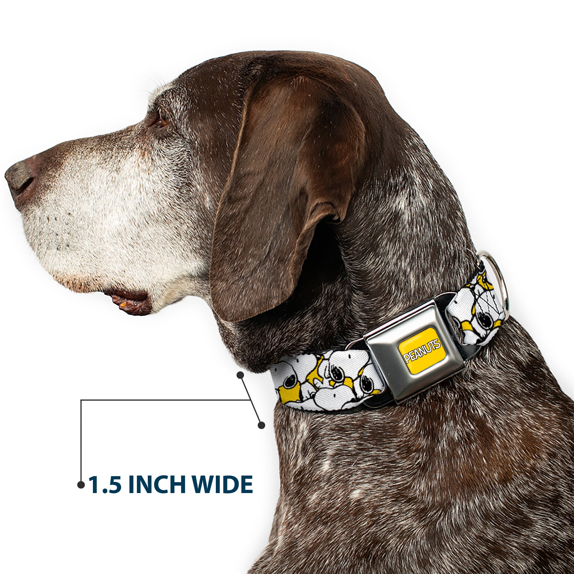 PEANUTS Title Logo Full Color Yellow/White Seatbelt Buckle Collar - Peanuts Snoopy Pose Stacked Yellow Seatbelt Buckle Collars Peanuts