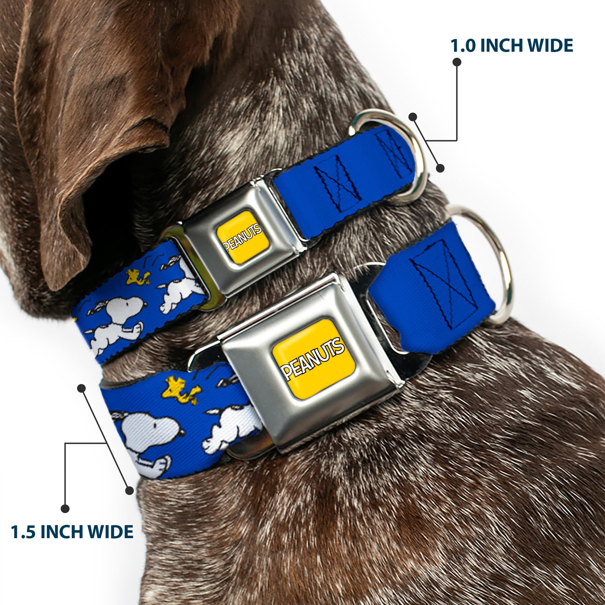 PEANUTS Title Logo Full Color Yellow/White Seatbelt Buckle Collar - Peanuts Snoopy Running and Woodstock Pose Blue Seatbelt Buckle Collars Peanuts