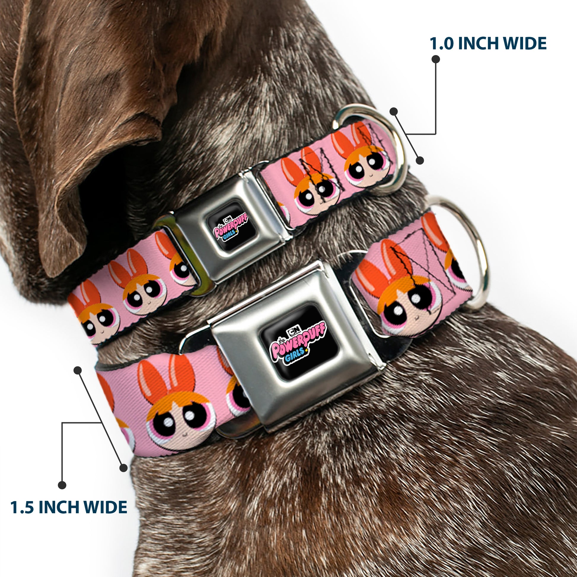 THE POWERPUFF GIRLS Animated Series Title Logo Full Color Black Seatbelt Buckle Collar - The Powerpuff Girls Blossom Face Close-Up Pink Seatbelt Buckle Collars Powerpuff Girls