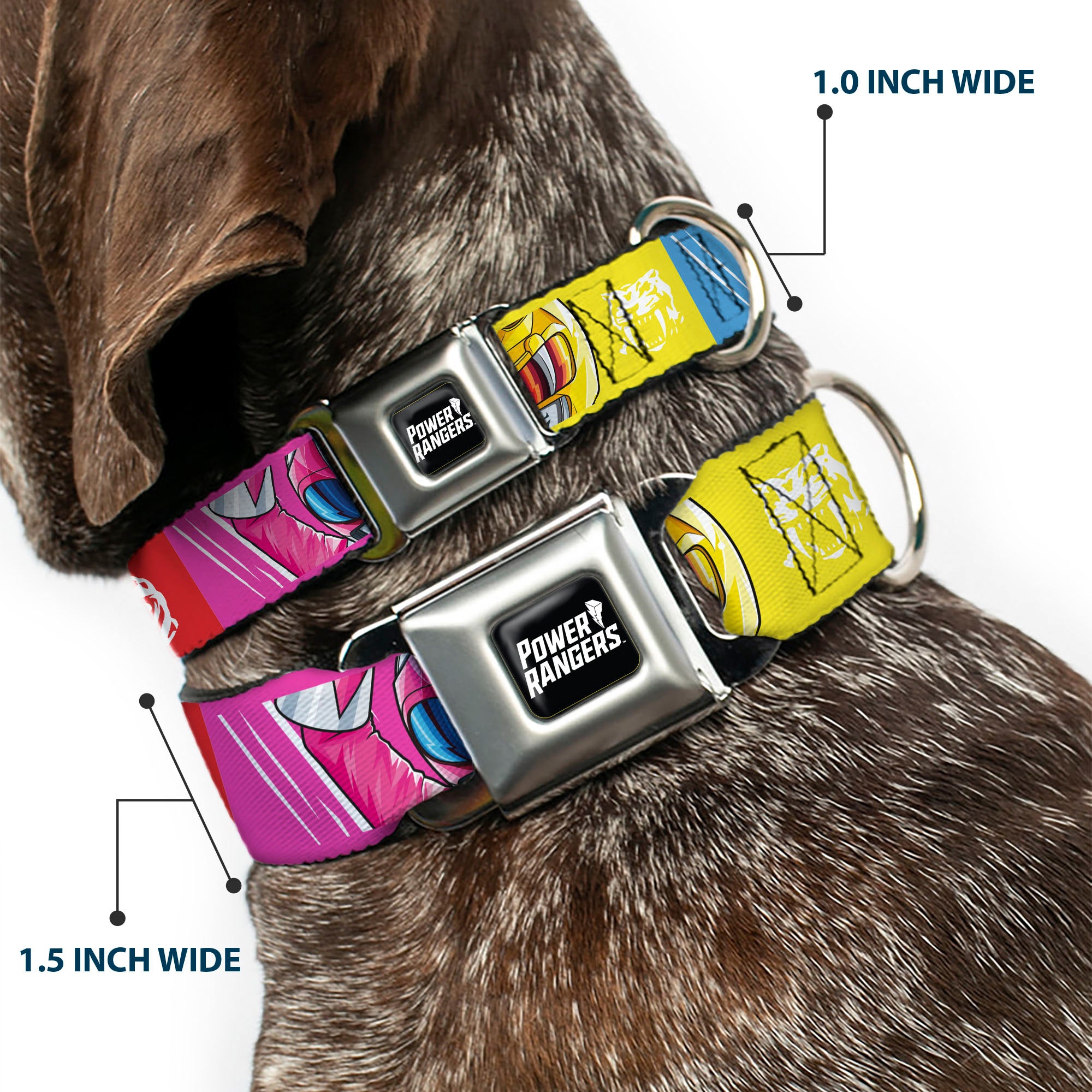 POWER RANGERS Title Logo Full Color Black/White Seatbelt Buckle Collar - Power Rangers Face and Power Icon Blocks Multi Color Seatbelt Buckle Collars Power Rangers