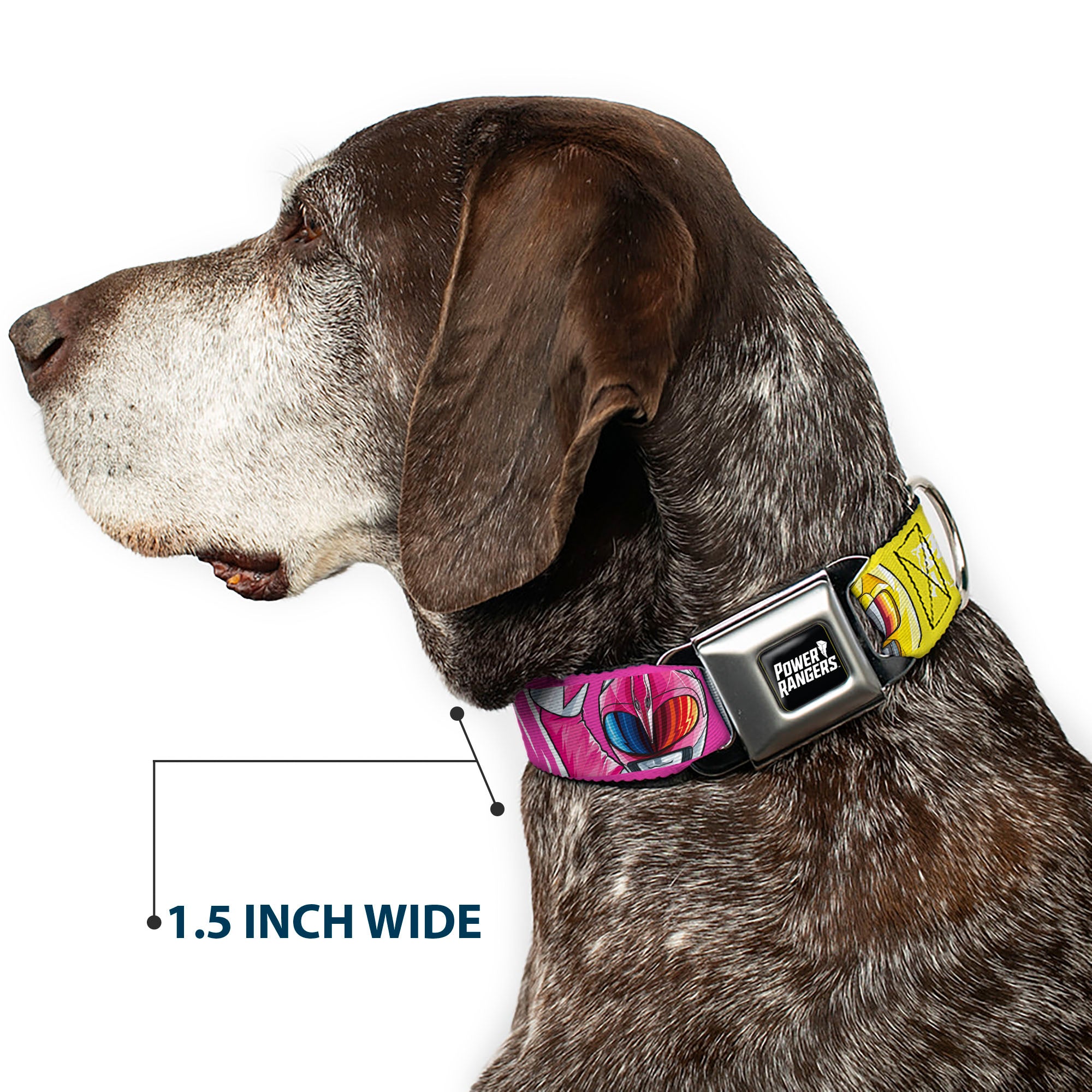 POWER RANGERS Title Logo Full Color Black/White Seatbelt Buckle Collar - Power Rangers Face and Power Icon Blocks Multi Color Seatbelt Buckle Collars Power Rangers