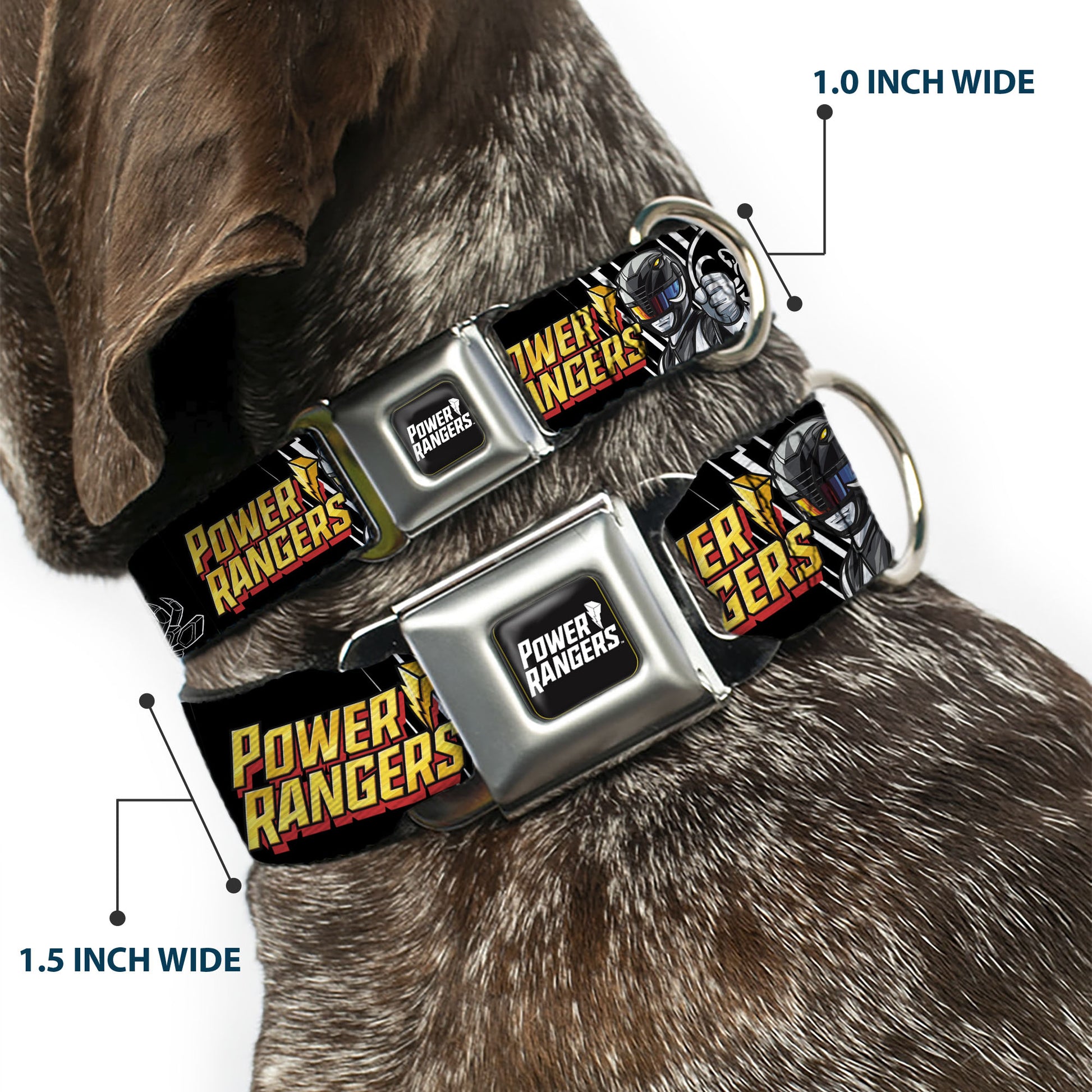 POWER RANGERS Title Logo Full Color Black/White Seatbelt Buckle Collar - POWER RANGERS Black Ranger Mastadon Pose and Coin Icon Black Seatbelt Buckle Collars Power Rangers