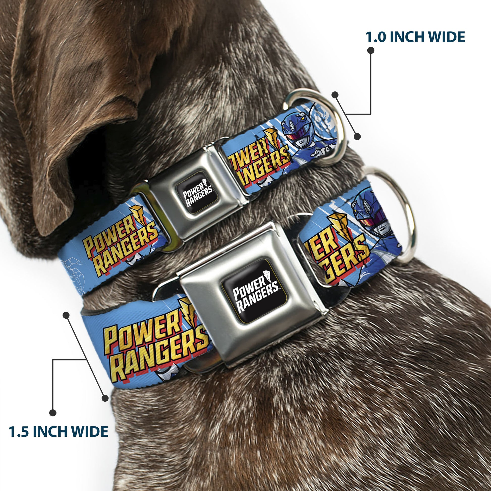 POWER RANGERS Title Logo Full Color Black/White Seatbelt Buckle Collar - POWER RANGERS Blue Ranger Triceratops Pose and Coin Icon Light Blue Seatbelt Buckle Collars Power Rangers