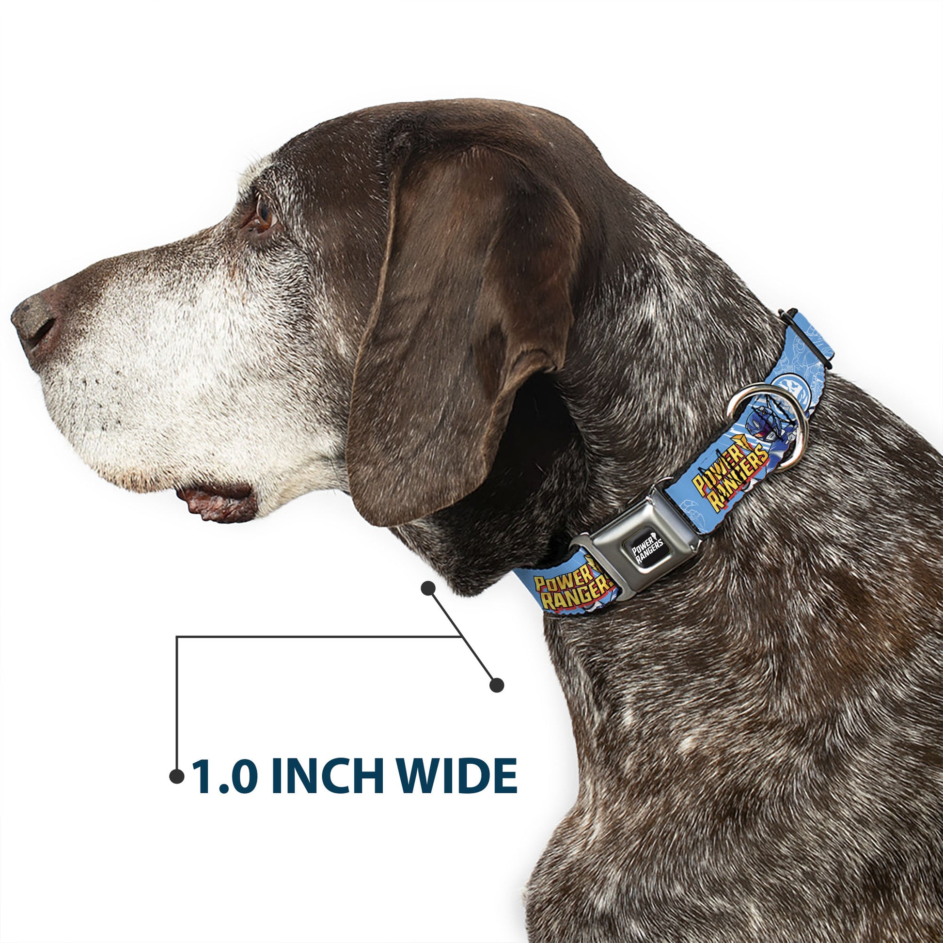 POWER RANGERS Title Logo Full Color Black/White Seatbelt Buckle Collar - POWER RANGERS Blue Ranger Triceratops Pose and Coin Icon Light Blue Seatbelt Buckle Collars Power Rangers