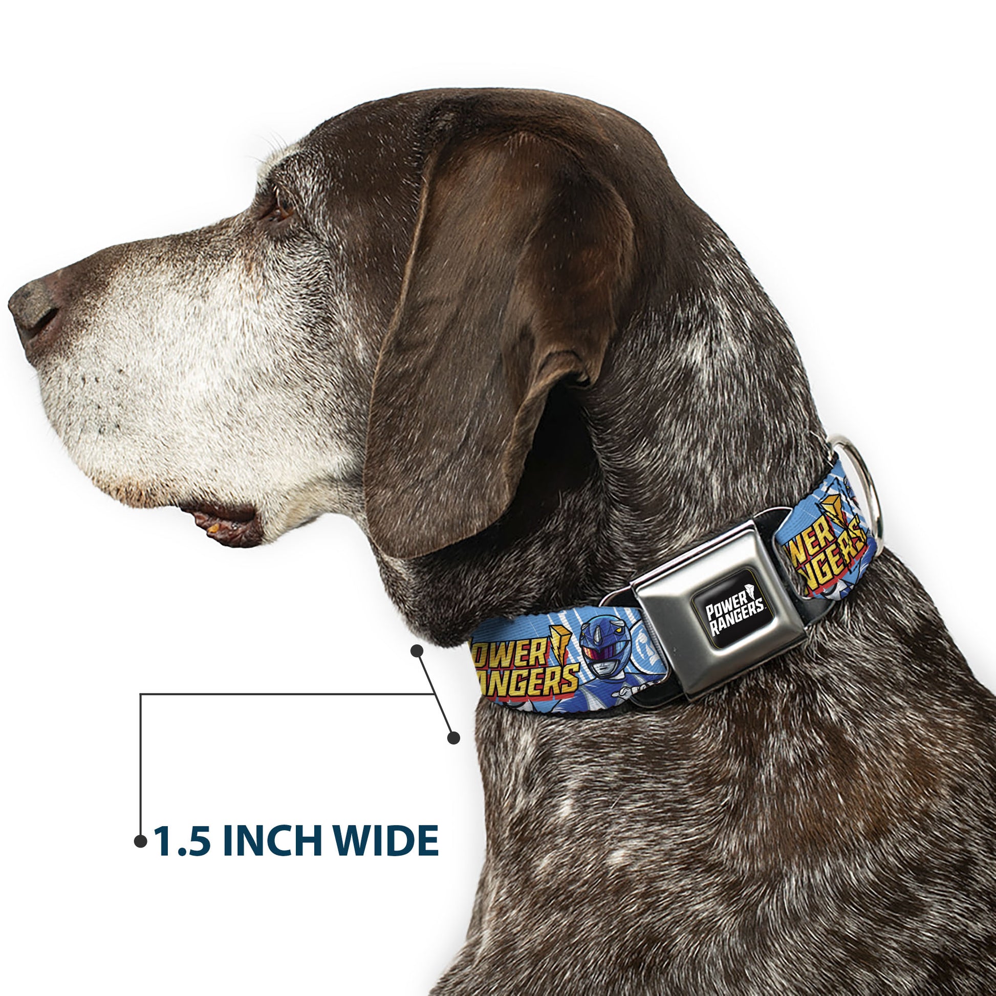 POWER RANGERS Title Logo Full Color Black/White Seatbelt Buckle Collar - POWER RANGERS Blue Ranger Triceratops Pose and Coin Icon Light Blue Seatbelt Buckle Collars Power Rangers