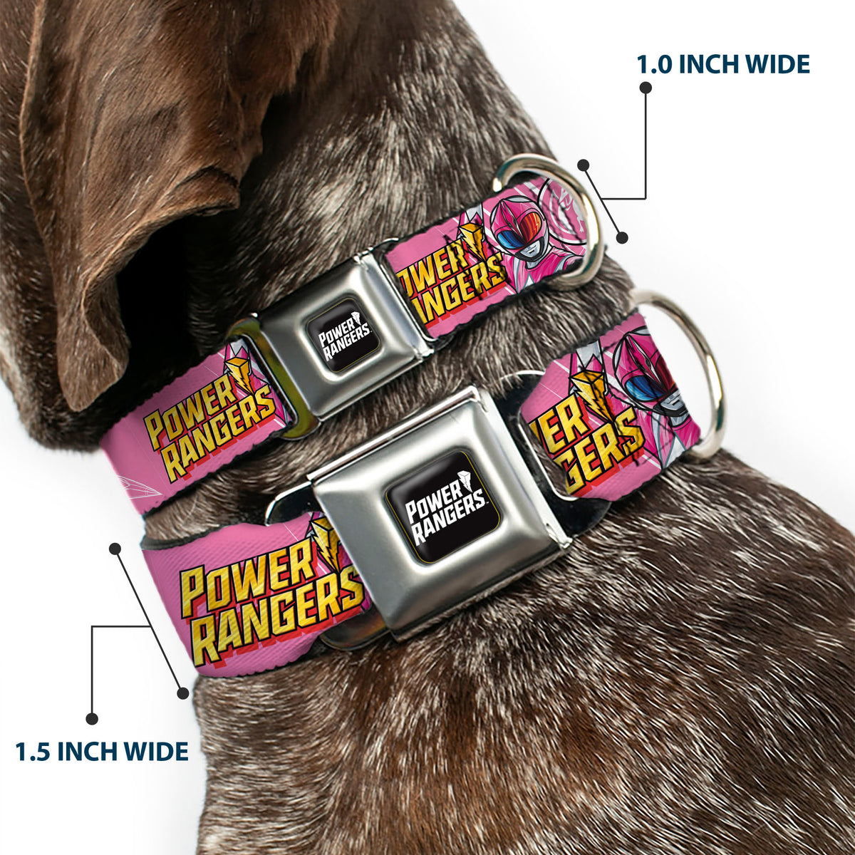 POWER RANGERS Title Logo Full Color Black/White Seatbelt Buckle Collar - POWER RANGERS Pink Ranger Pterodactyl Pose and Coin Icon Pink Dog Collars Seatbelt Buckle Power Rangers