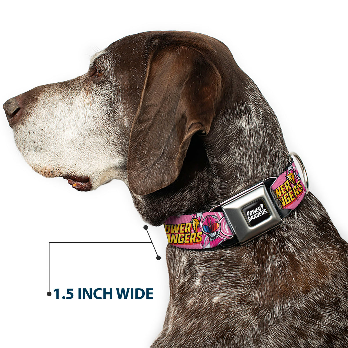 POWER RANGERS Title Logo Full Color Black/White Seatbelt Buckle Collar - POWER RANGERS Pink Ranger Pterodactyl Pose and Coin Icon Pink Dog Collars Seatbelt Buckle Power Rangers