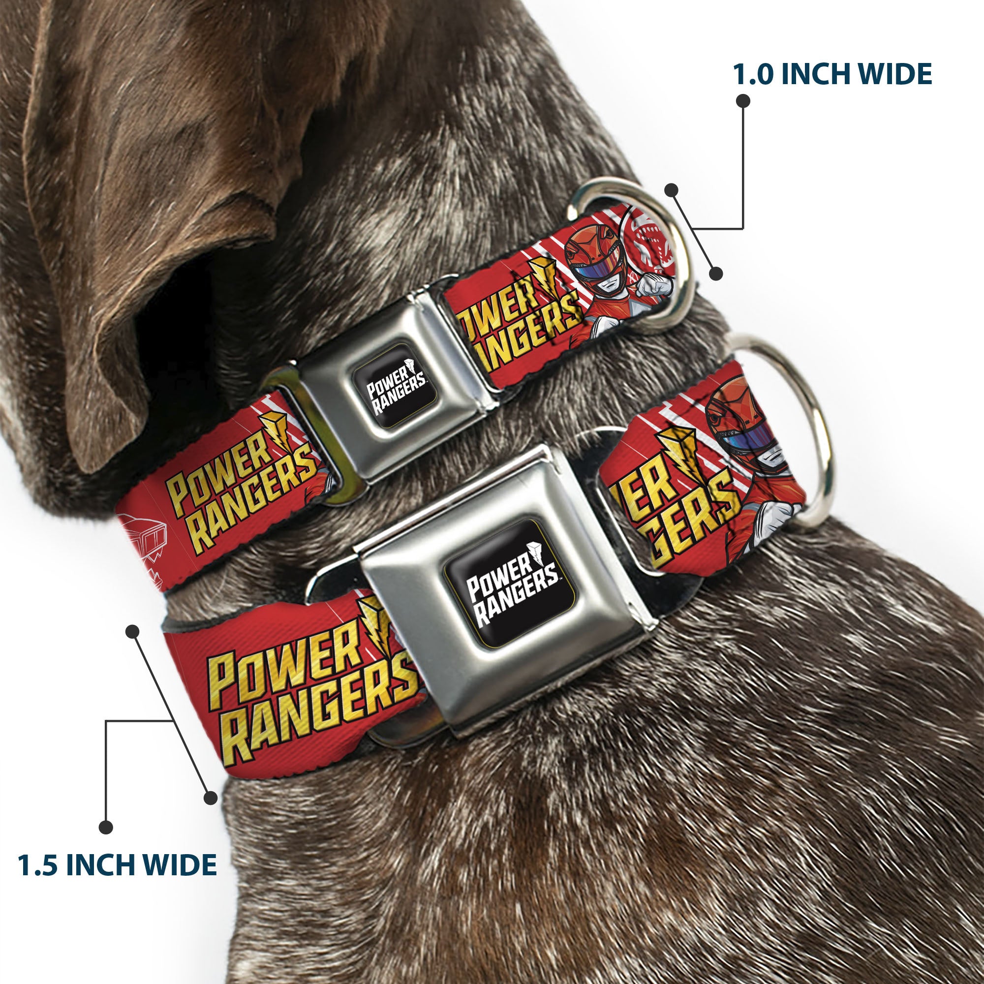 POWER RANGERS Title Logo Full Color Black/White Seatbelt Buckle Collar - POWER RANGERS Red Ranger Tyrannosaurus Rex Pose and Coin Icon Red Seatbelt Buckle Collars Power Rangers
