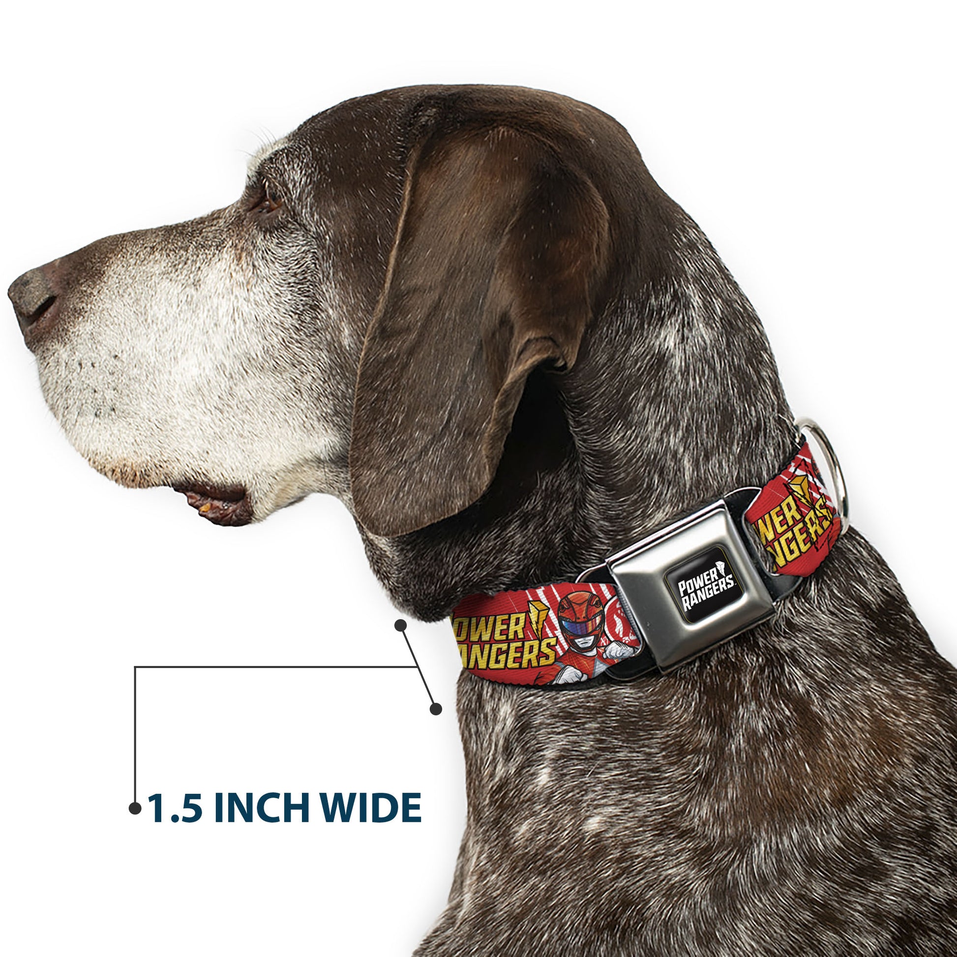 POWER RANGERS Title Logo Full Color Black/White Seatbelt Buckle Collar - POWER RANGERS Red Ranger Tyrannosaurus Rex Pose and Coin Icon Red Seatbelt Buckle Collars Power Rangers