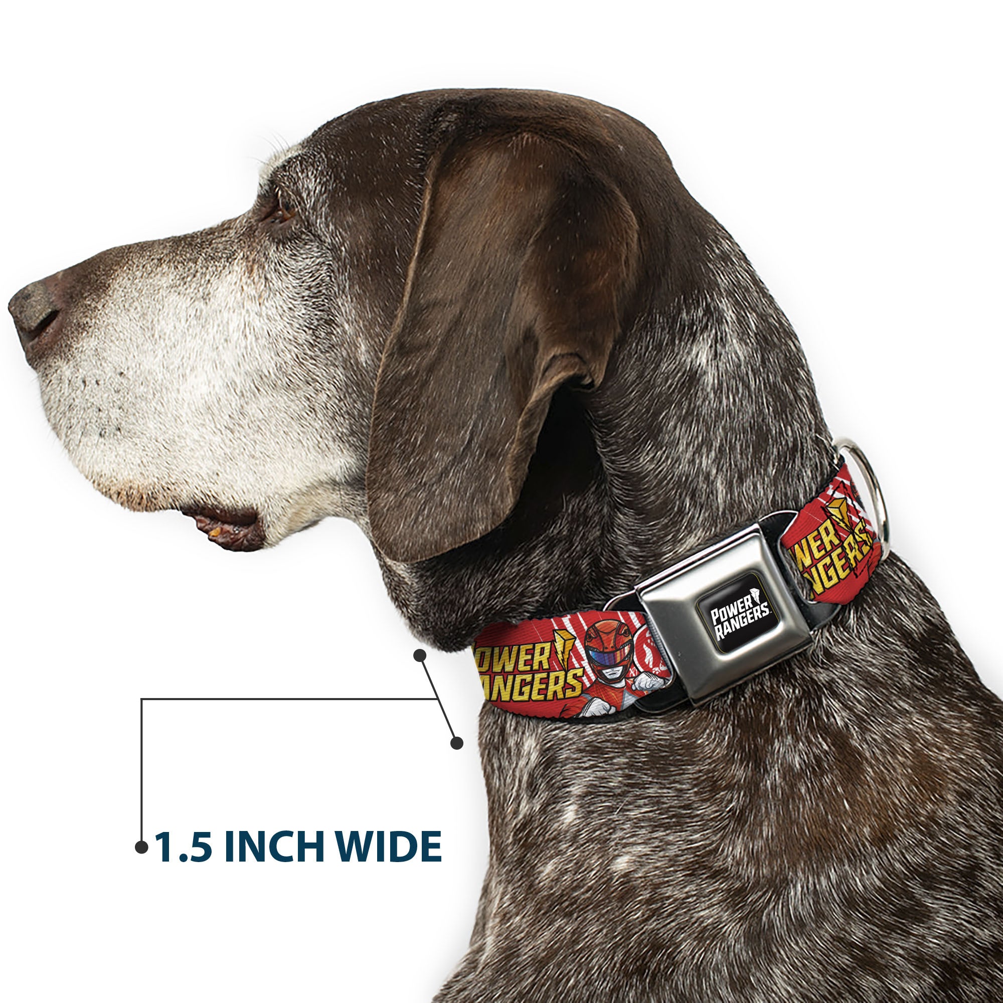POWER RANGERS Title Logo Full Color Black/White Seatbelt Buckle Collar - POWER RANGERS Red Ranger Tyrannosaurus Rex Pose and Coin Icon Red Seatbelt Buckle Collars Power Rangers