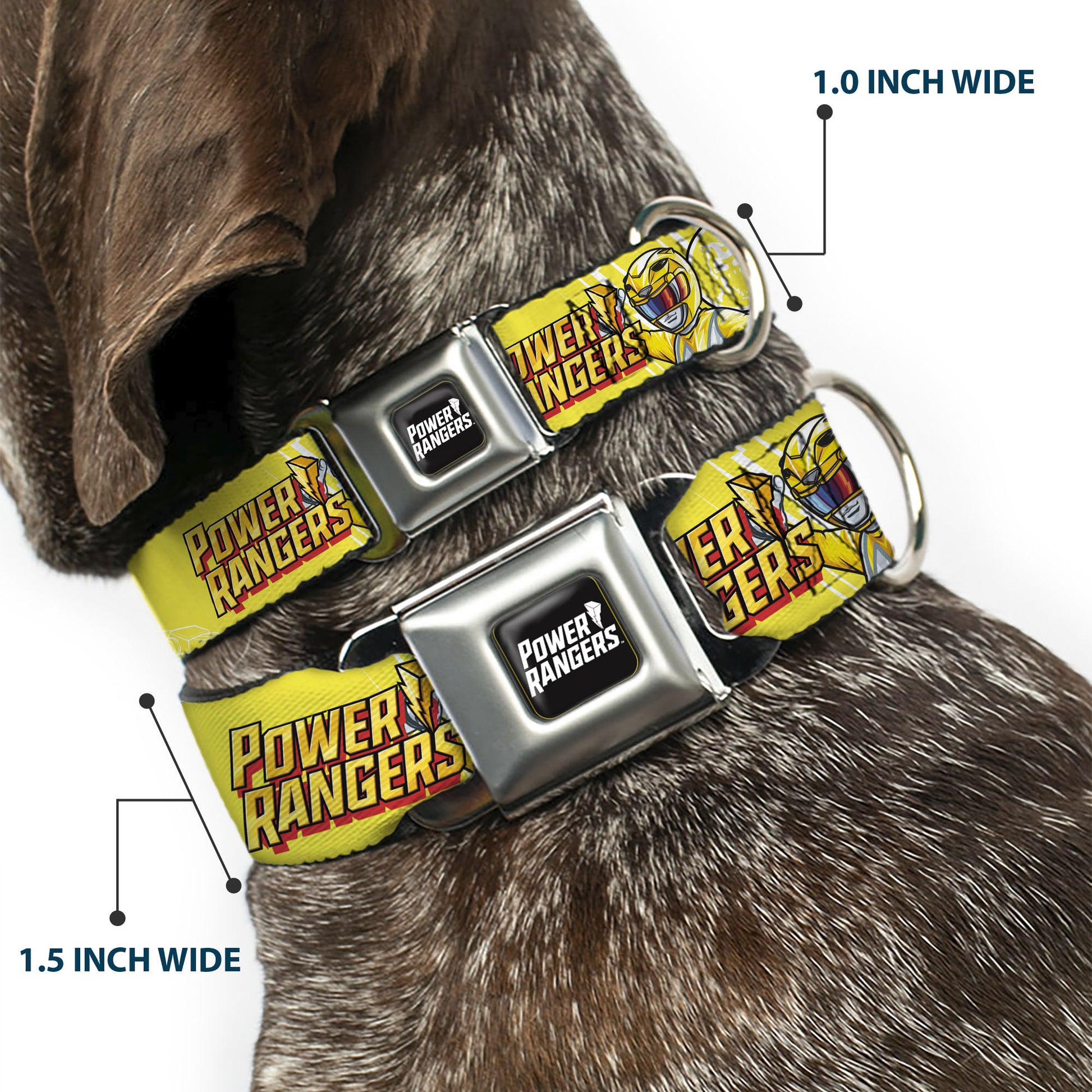 POWER RANGERS Title Logo Full Color Black/White Seatbelt Buckle Collar - POWER RANGERS Yellow Ranger Sabertooth Tiger Pose and Coin Icon Yellow Seatbelt Buckle Collars Power Rangers