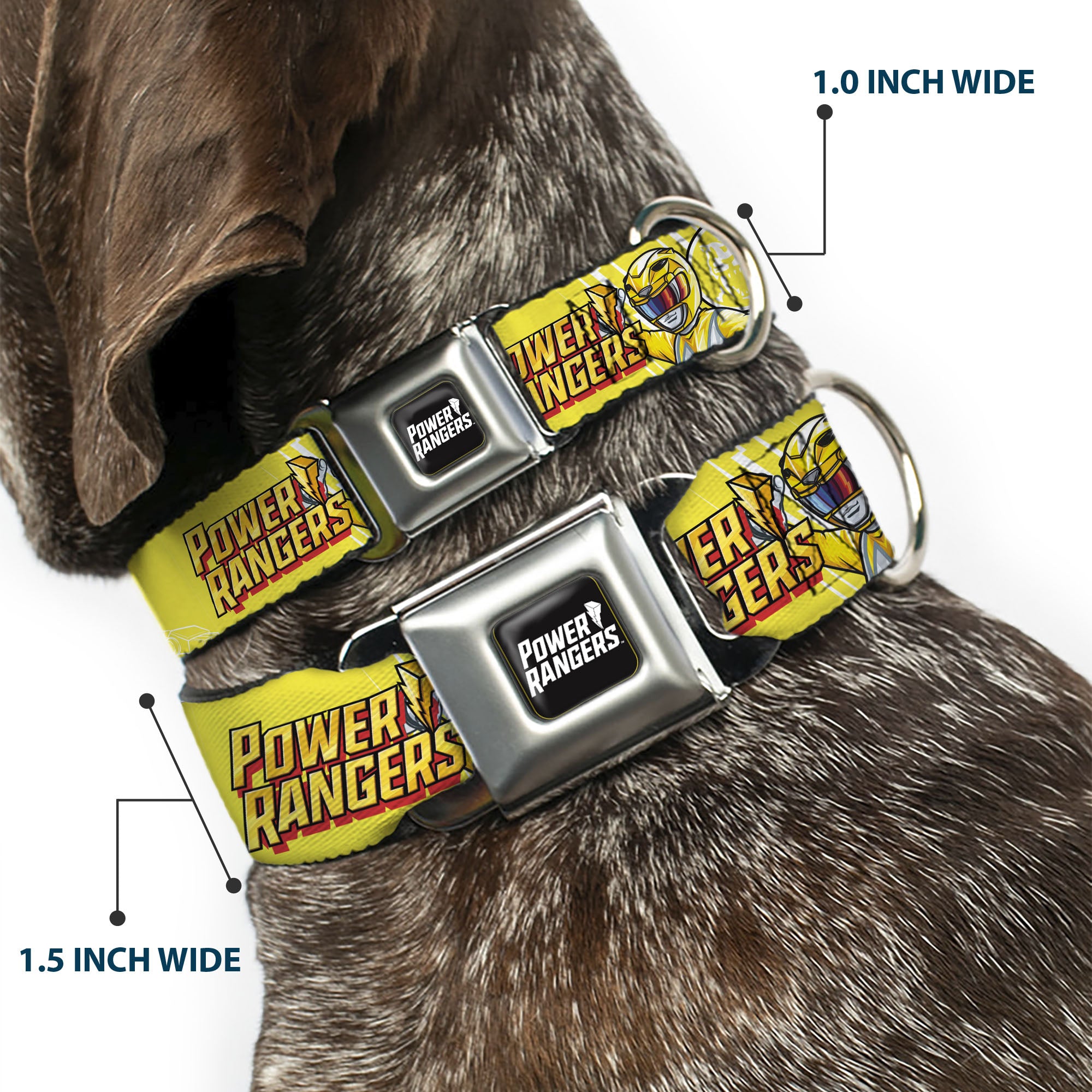 POWER RANGERS Title Logo Full Color Black/White Seatbelt Buckle Collar - POWER RANGERS Yellow Ranger Sabertooth Tiger Pose and Coin Icon Yellow Seatbelt Buckle Collars Power Rangers