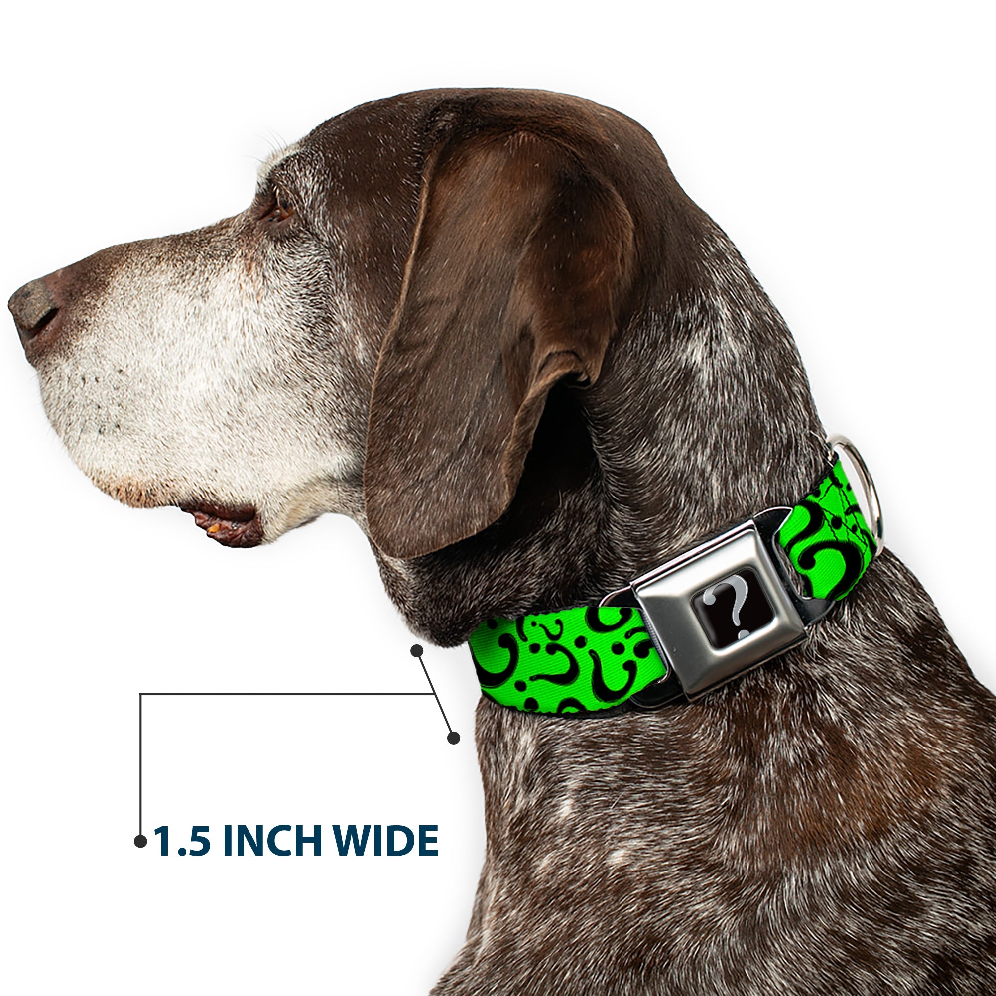 Riddler "?" Black Silver Seatbelt Buckle Collar - Question Mark Scattered Lime Green/Black Seatbelt Buckle Collars DC Comics