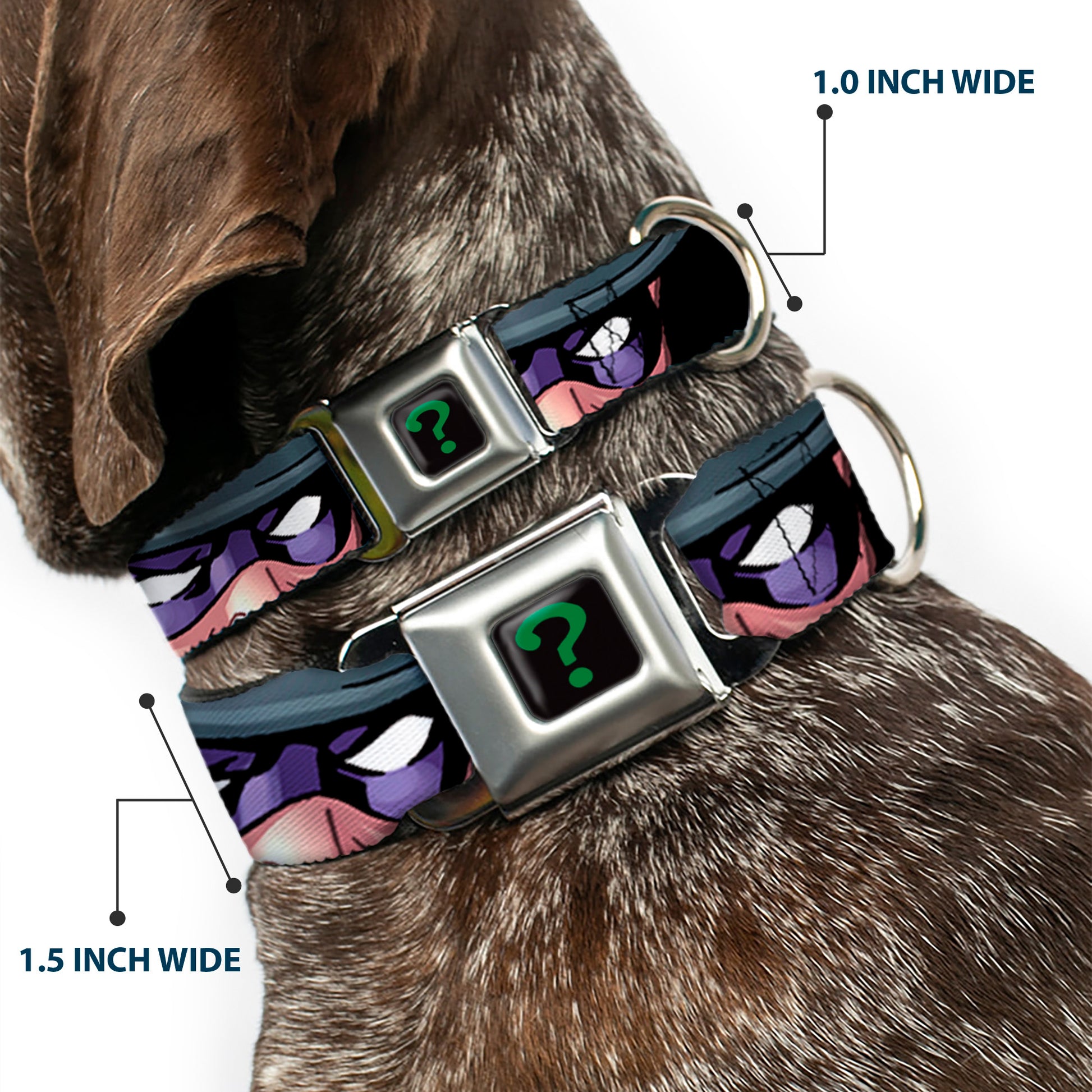 Riddler "?" Black/Green Seatbelt Buckle Collar - THE RIDDLER/Face CLOSE-UP Black/Green Seatbelt Buckle Collars DC Comics