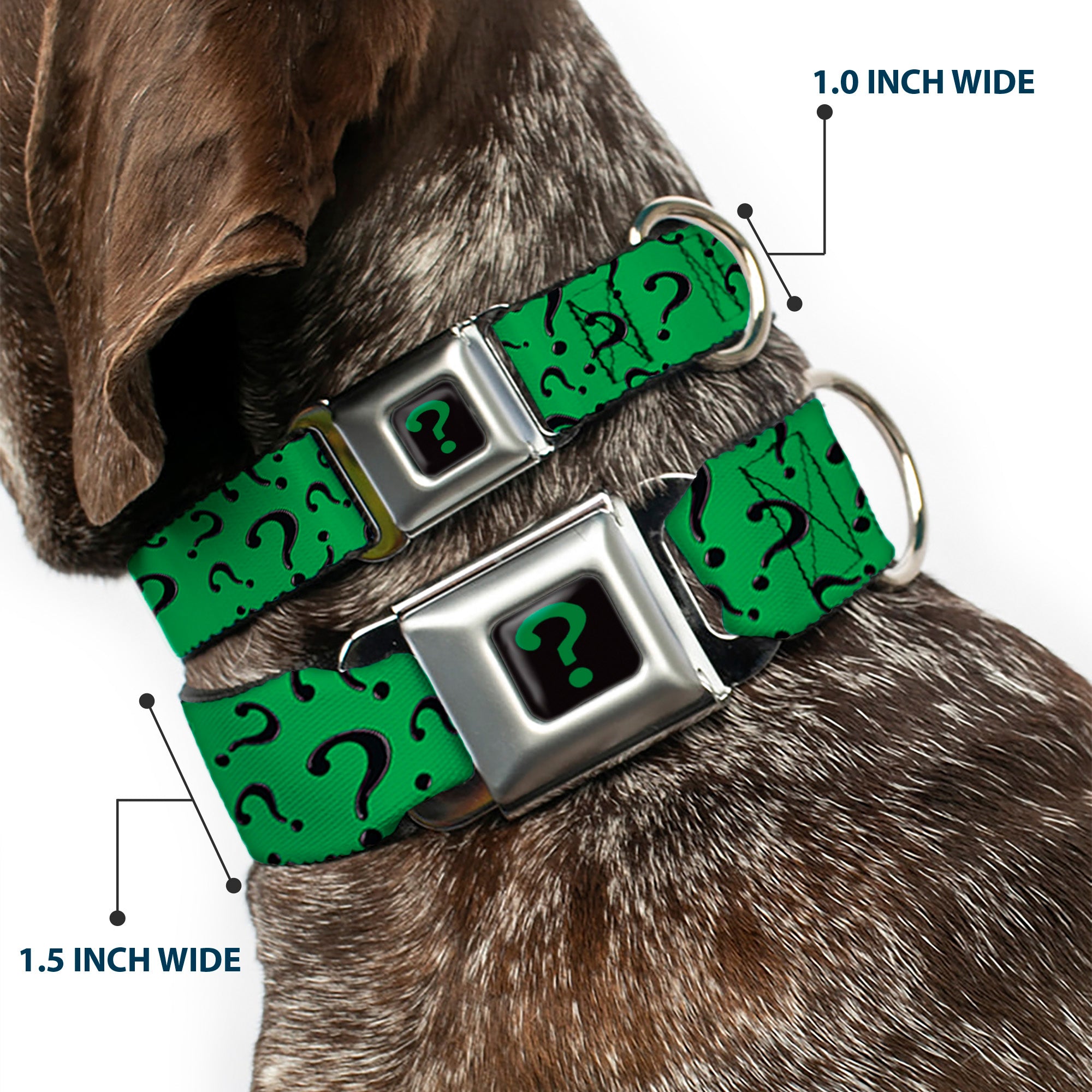 Riddler "?" Black/Green Seatbelt Buckle Collar - Question Mark Scattered3 Dark Green/Black Seatbelt Buckle Collars DC Comics