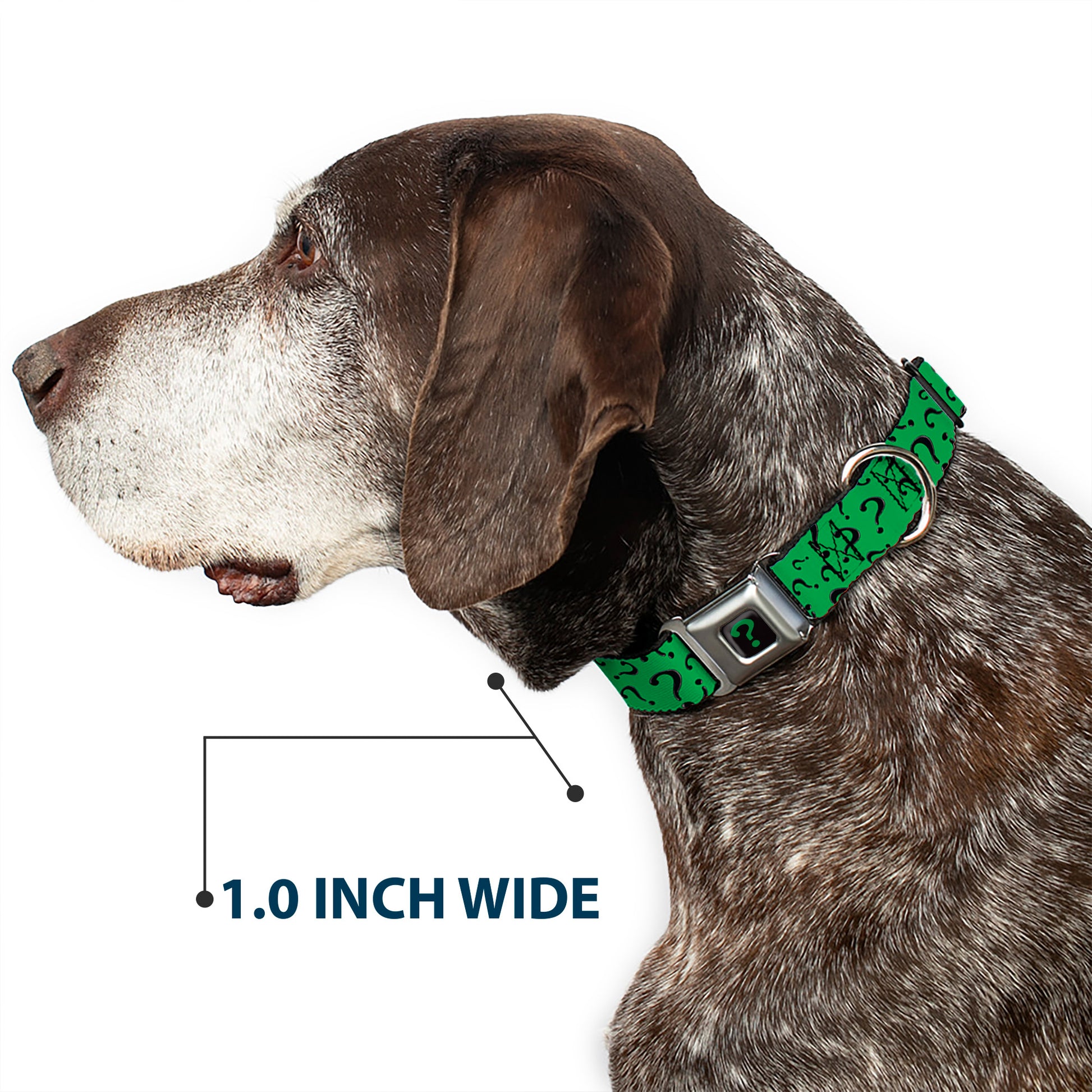 Riddler "?" Black/Green Seatbelt Buckle Collar - Question Mark Scattered3 Dark Green/Black Seatbelt Buckle Collars DC Comics