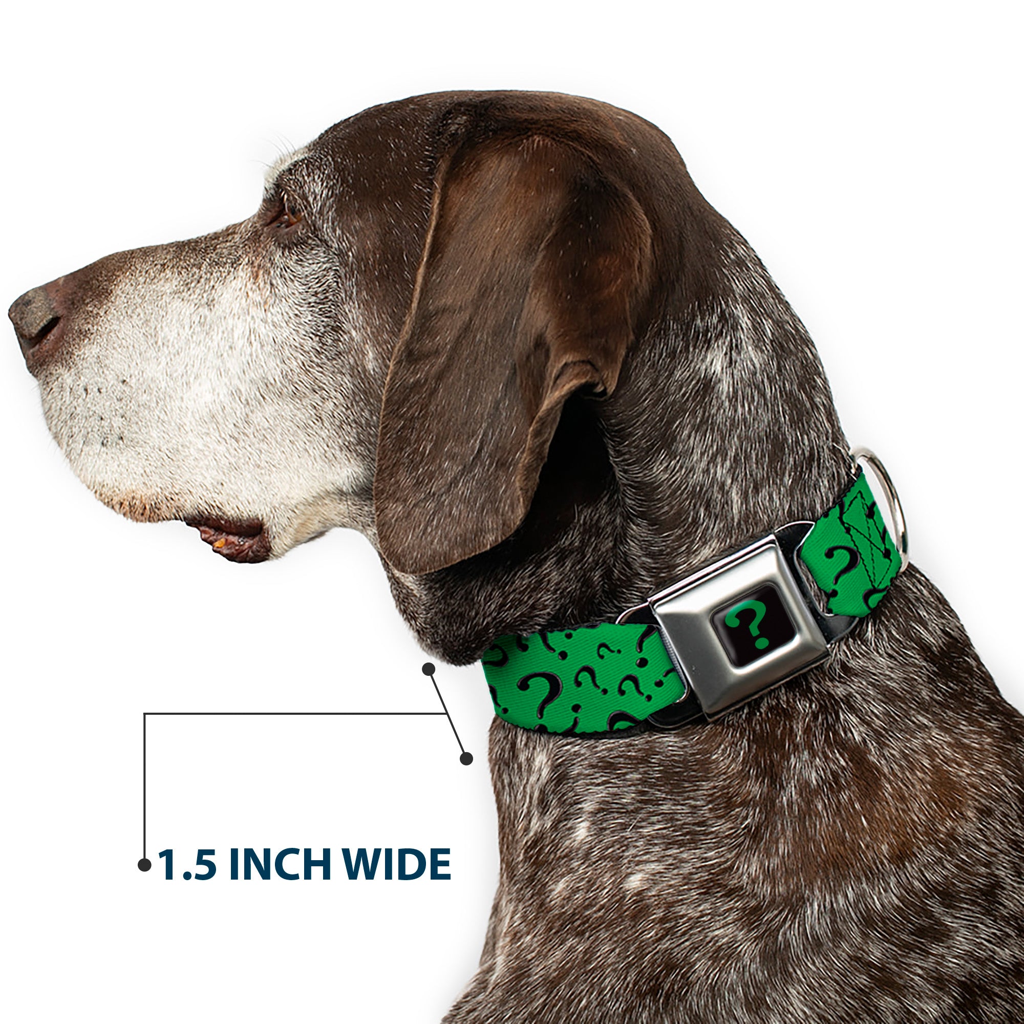 Riddler "?" Black/Green Seatbelt Buckle Collar - Question Mark Scattered3 Dark Green/Black Seatbelt Buckle Collars DC Comics