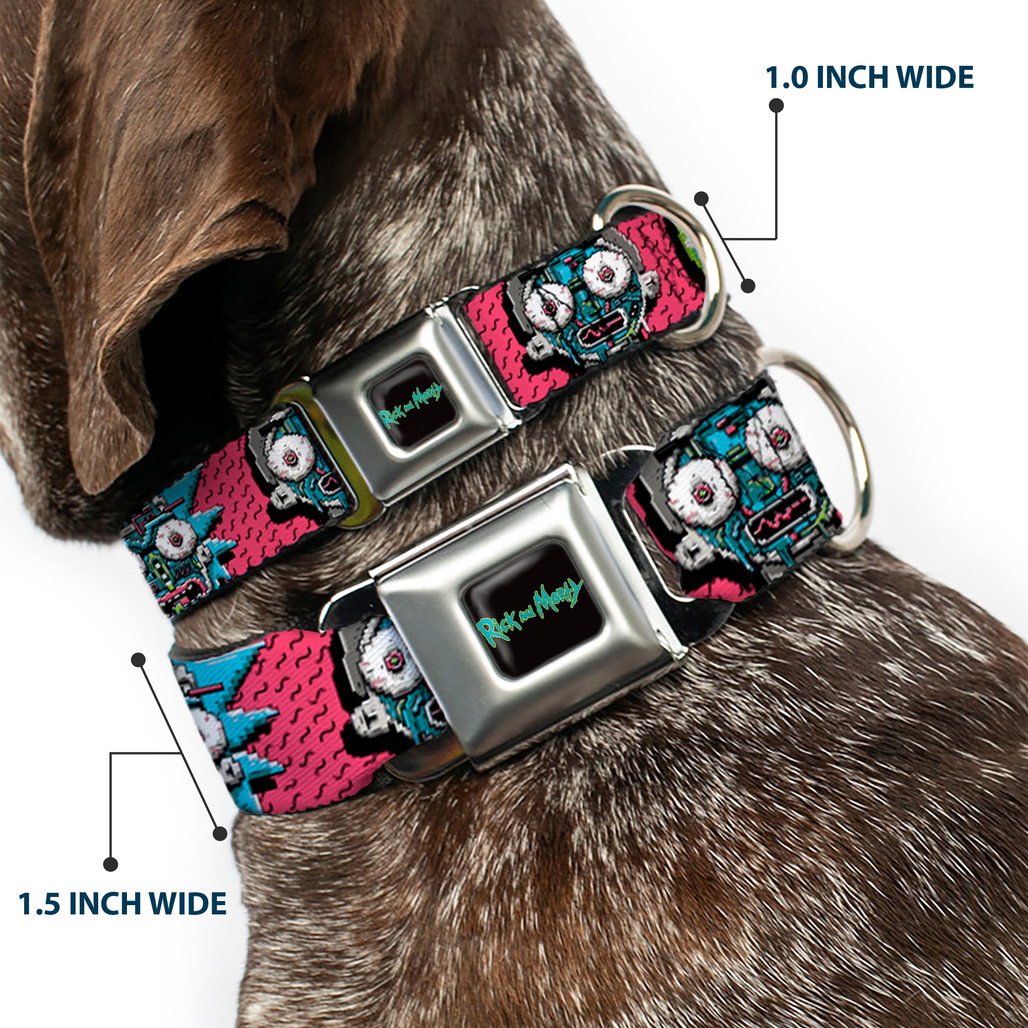 RICK AND MORTY Text Logo Full Color Black/Blue Seatbelt Buckle Collar - Rick and Morty Circuit Faces/Portal Gun Pink Seatbelt Buckle Collars Rick and Morty