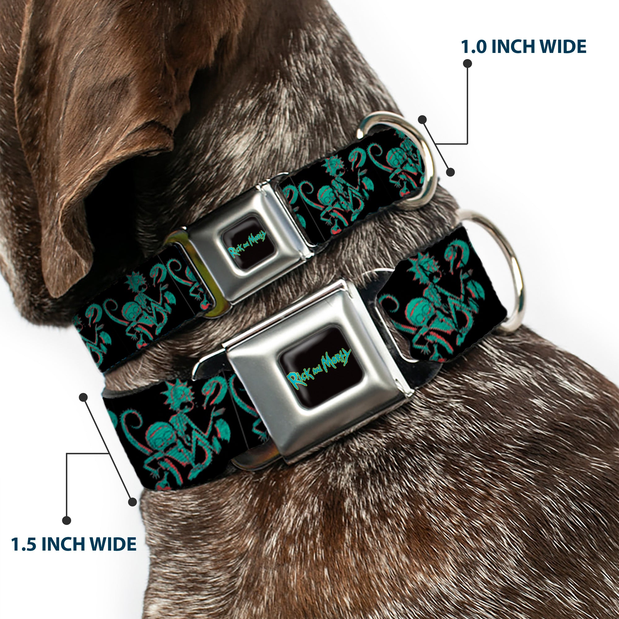 RICK AND MORTY Text Logo Full Color Black/Blue Seatbelt Buckle Collar - Rick and Morty Psychedelic Monster Pose Black/Greens Seatbelt Buckle Collars Rick and Morty