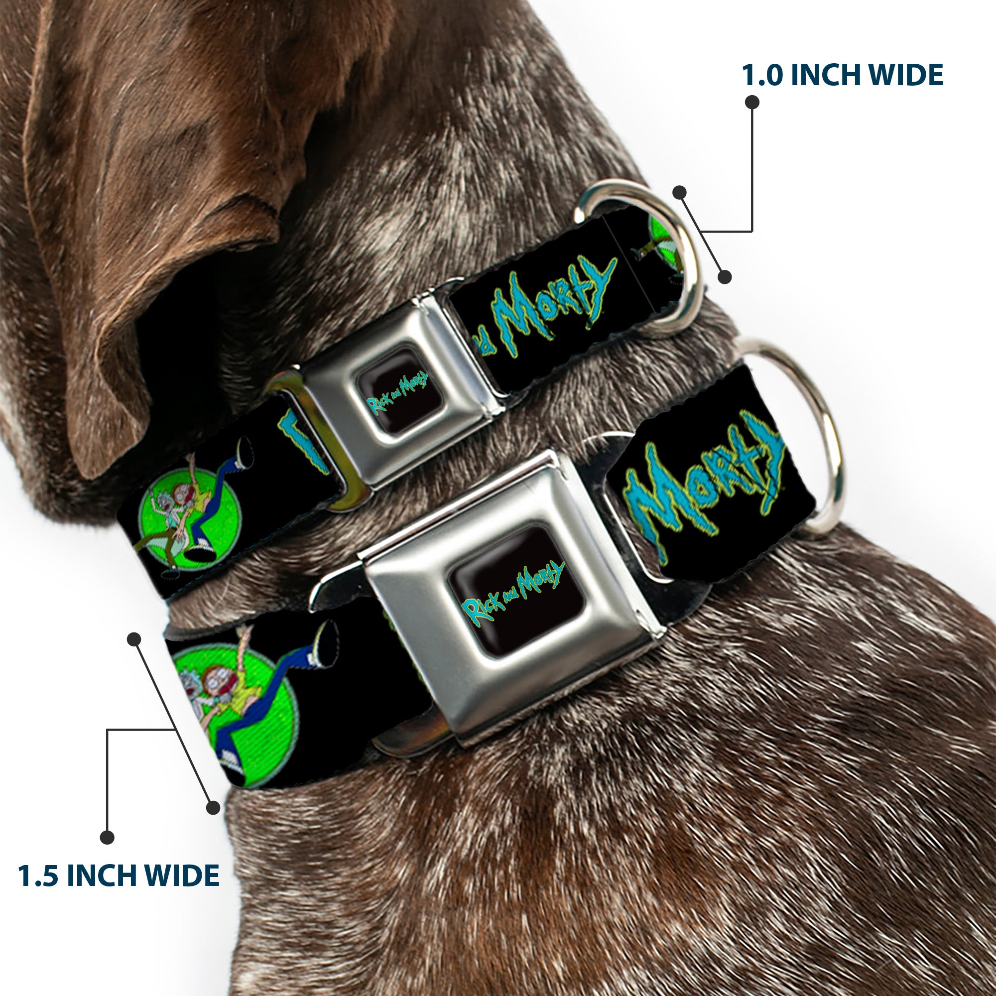 RICK AND MORTY Text Logo Full Color Black/Blue Seatbelt Buckle Collar - RICK AND MORTY Title Logo and Portal Pose Black Seatbelt Buckle Collars Rick and Morty