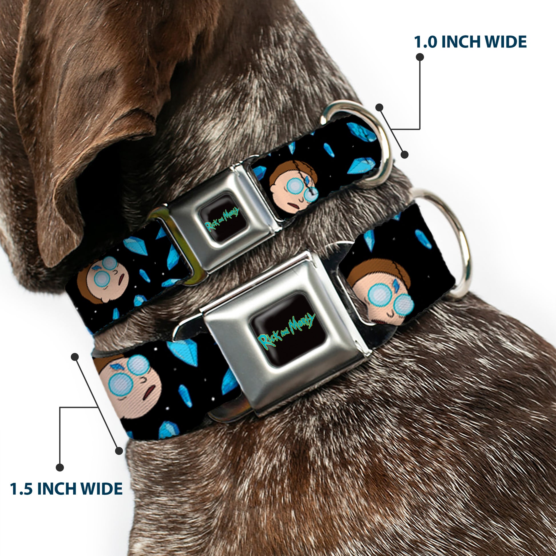 RICK AND MORTY Text Logo Full Color Black/Blue Seatbelt Buckle Collar - Rick and Morty Death Crystals and Morty Expression Black/Blues Seatbelt Buckle Collars Rick and Morty