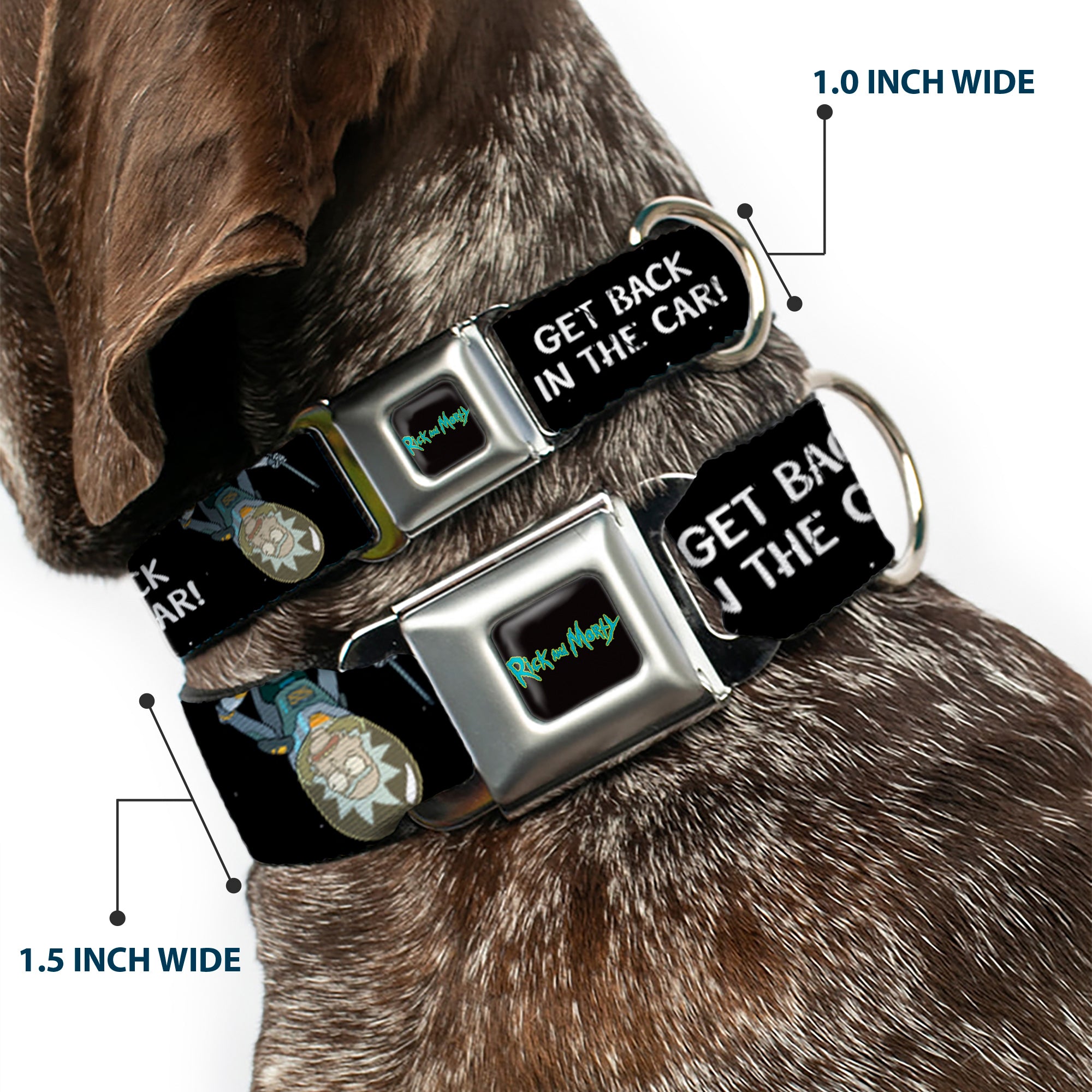 RICK AND MORTY Text Logo Full Color Black/Blue Seatbelt Buckle Collar - Rick and Morty Rick GET BACK IN THE CAR Pose Black/White Seatbelt Buckle Collars Rick and Morty